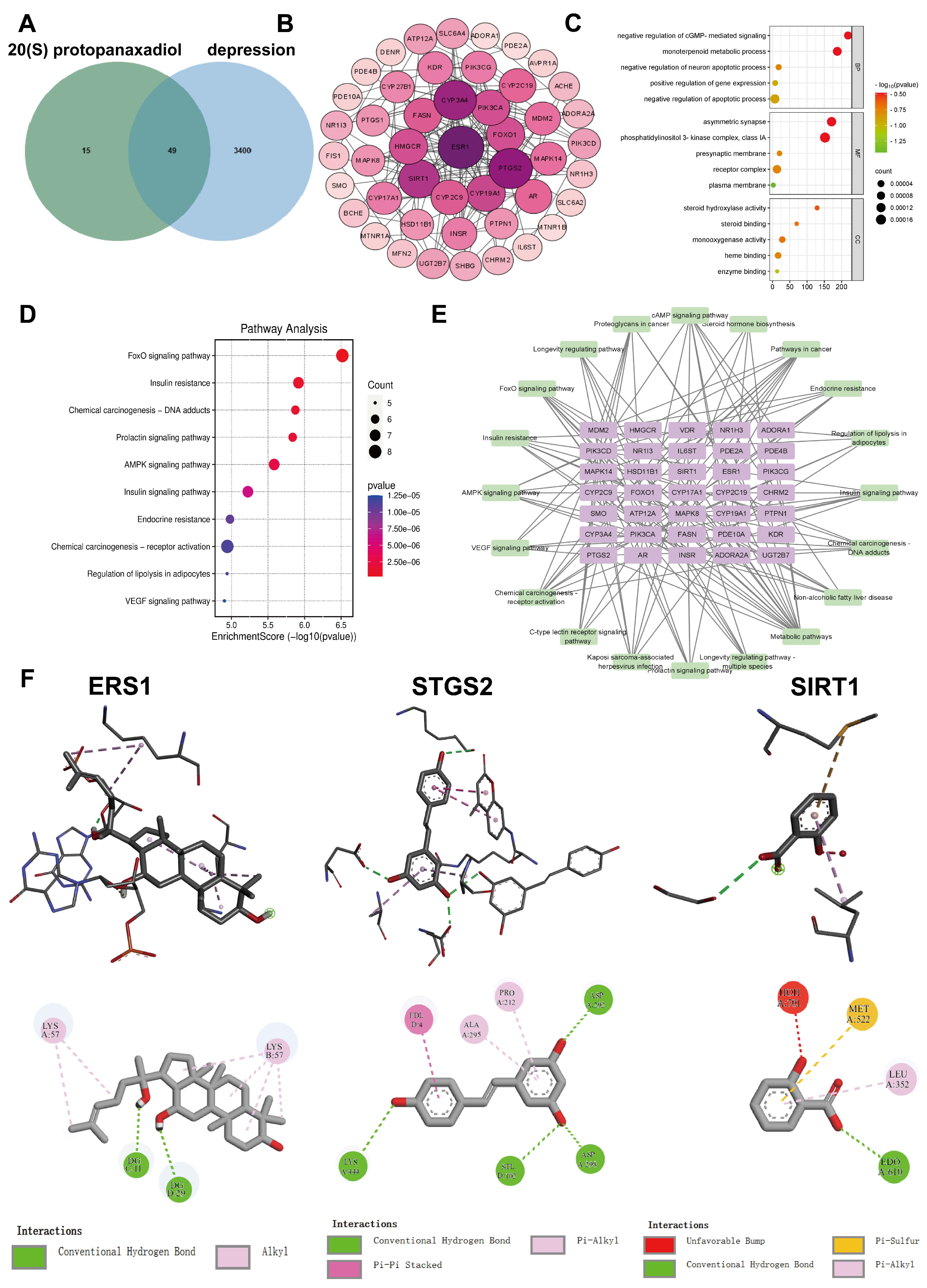 Molecules 29 05085 g001