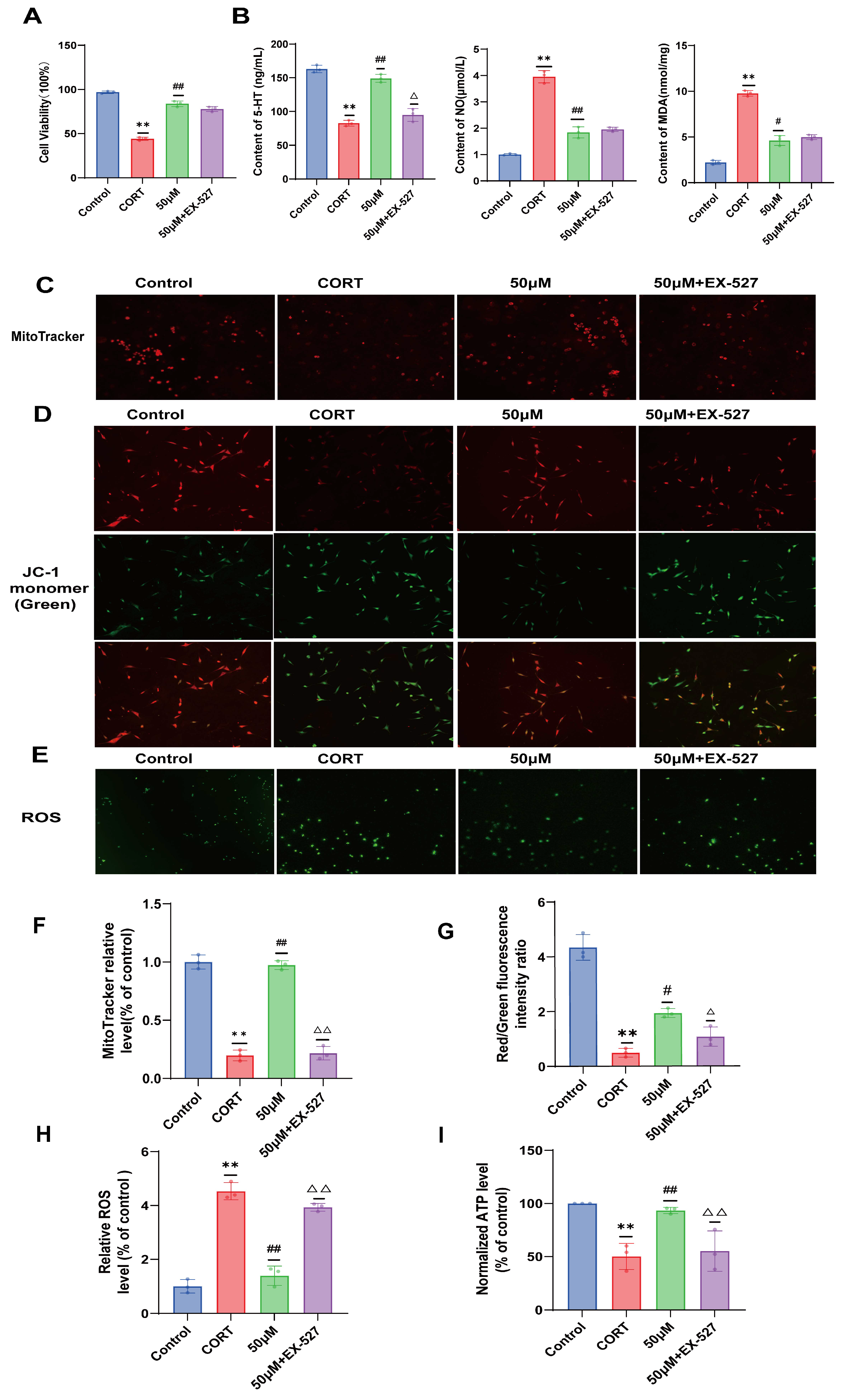 Molecules 29 05085 g004
