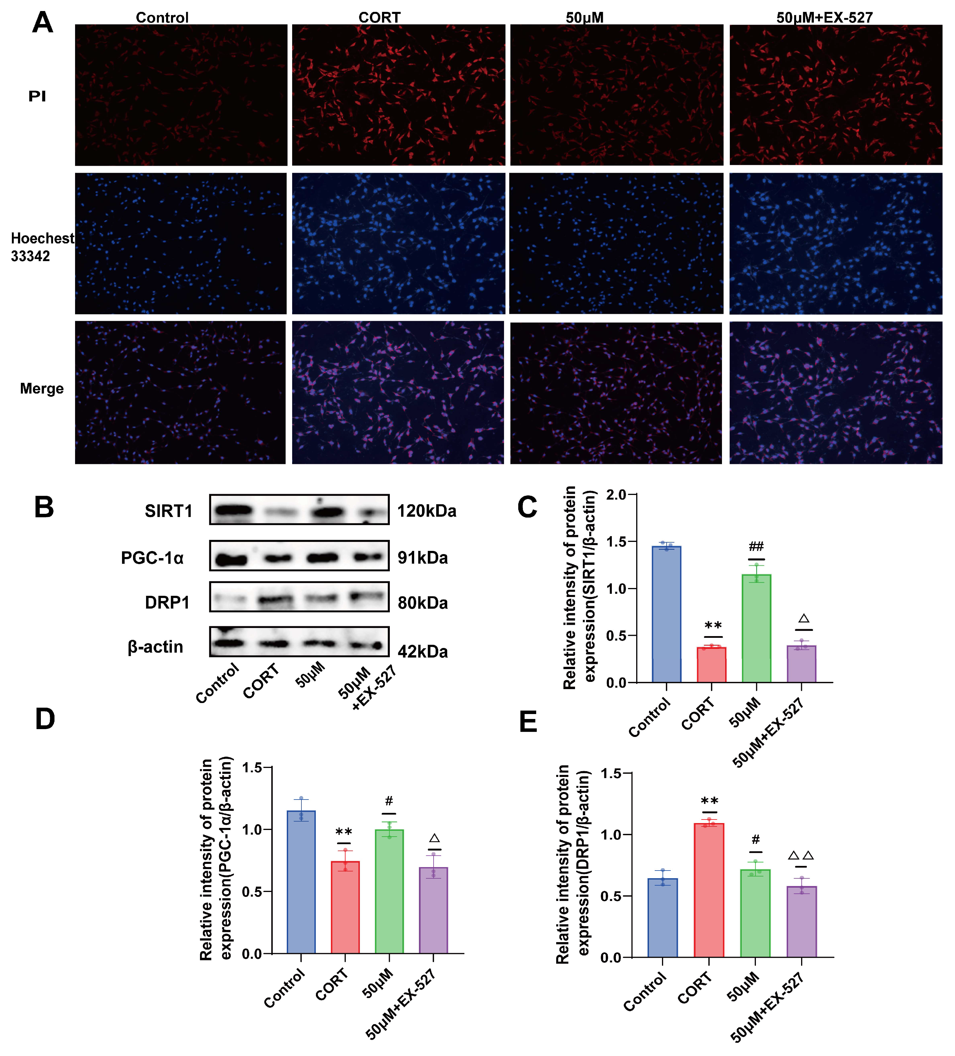 Molecules 29 05085 g005