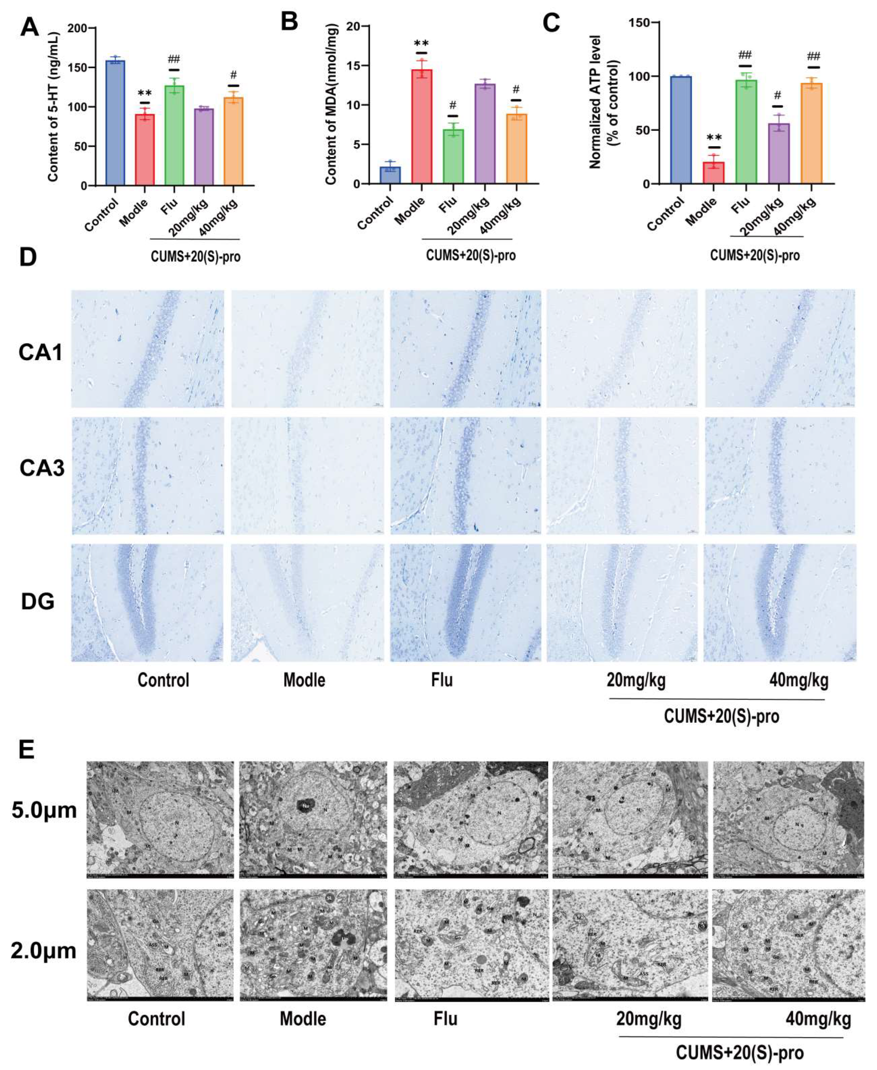 Molecules 29 05085 g007