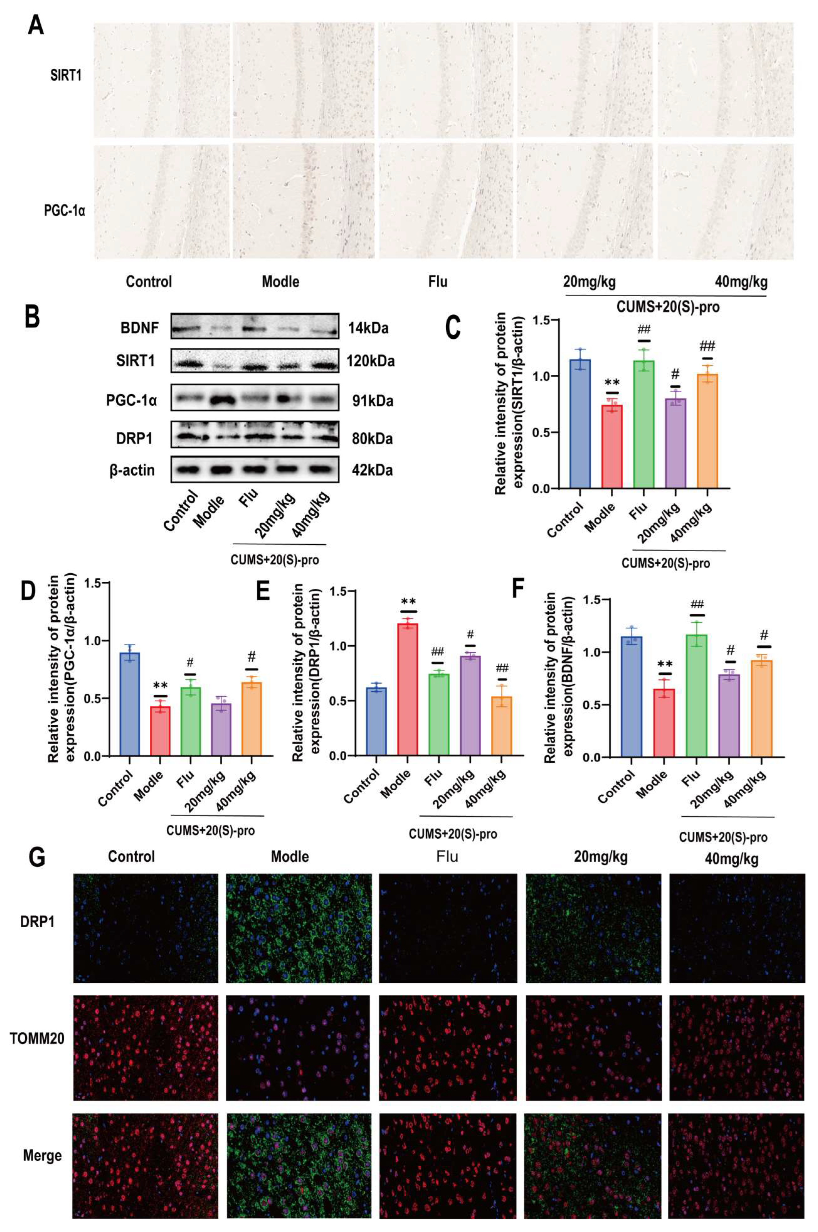 Molecules 29 05085 g008