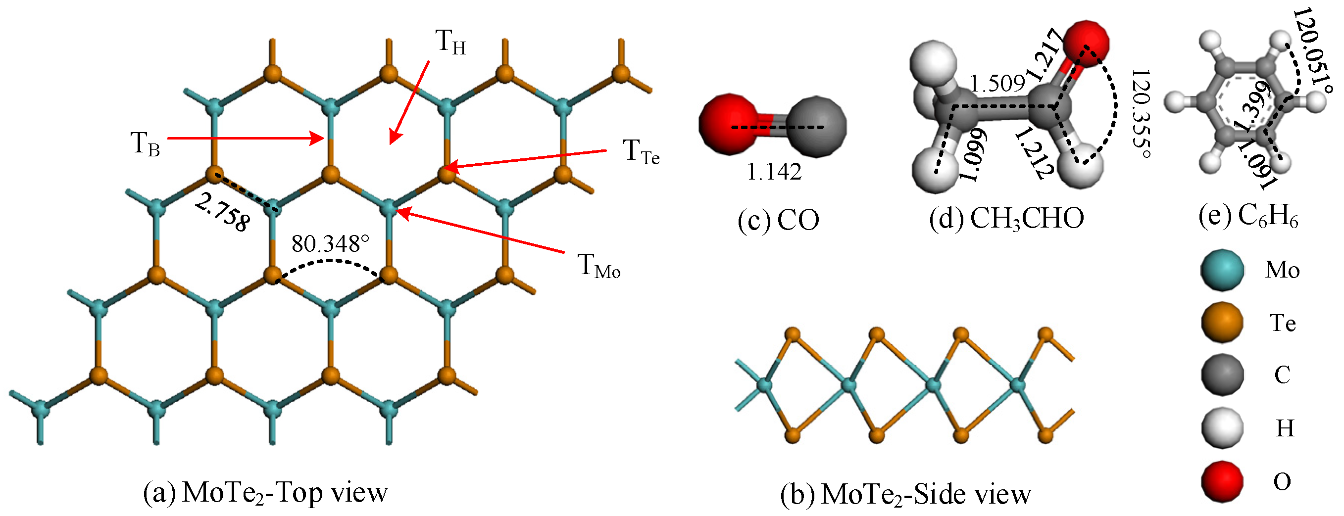 Molecules 29 05086 g001