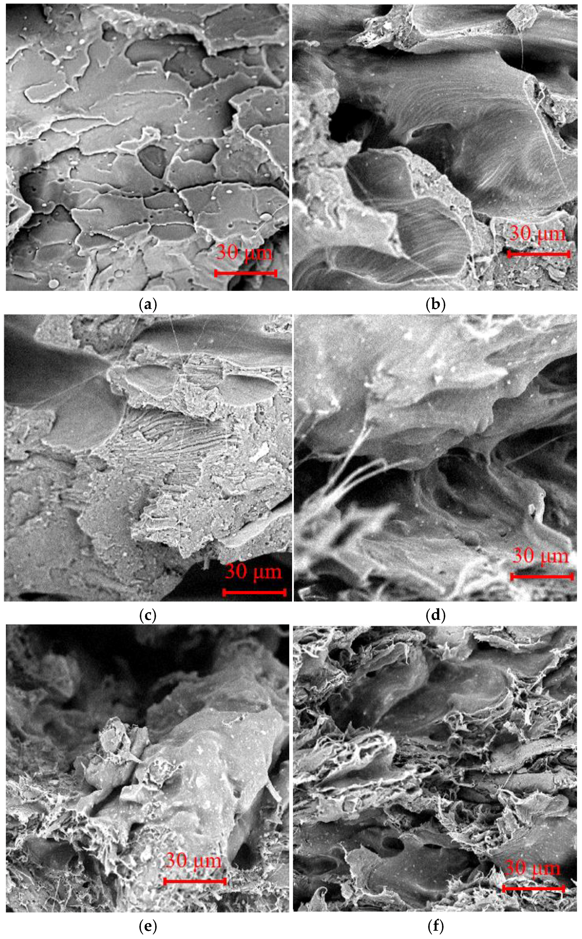 Molecules 29 05087 g003