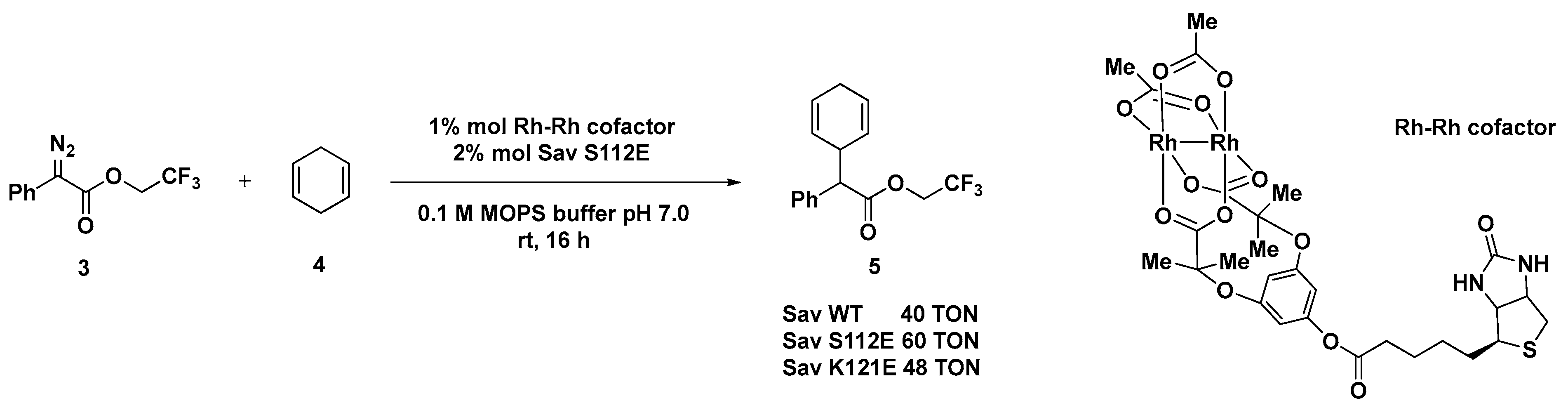 Molecules 29 05090 sch002