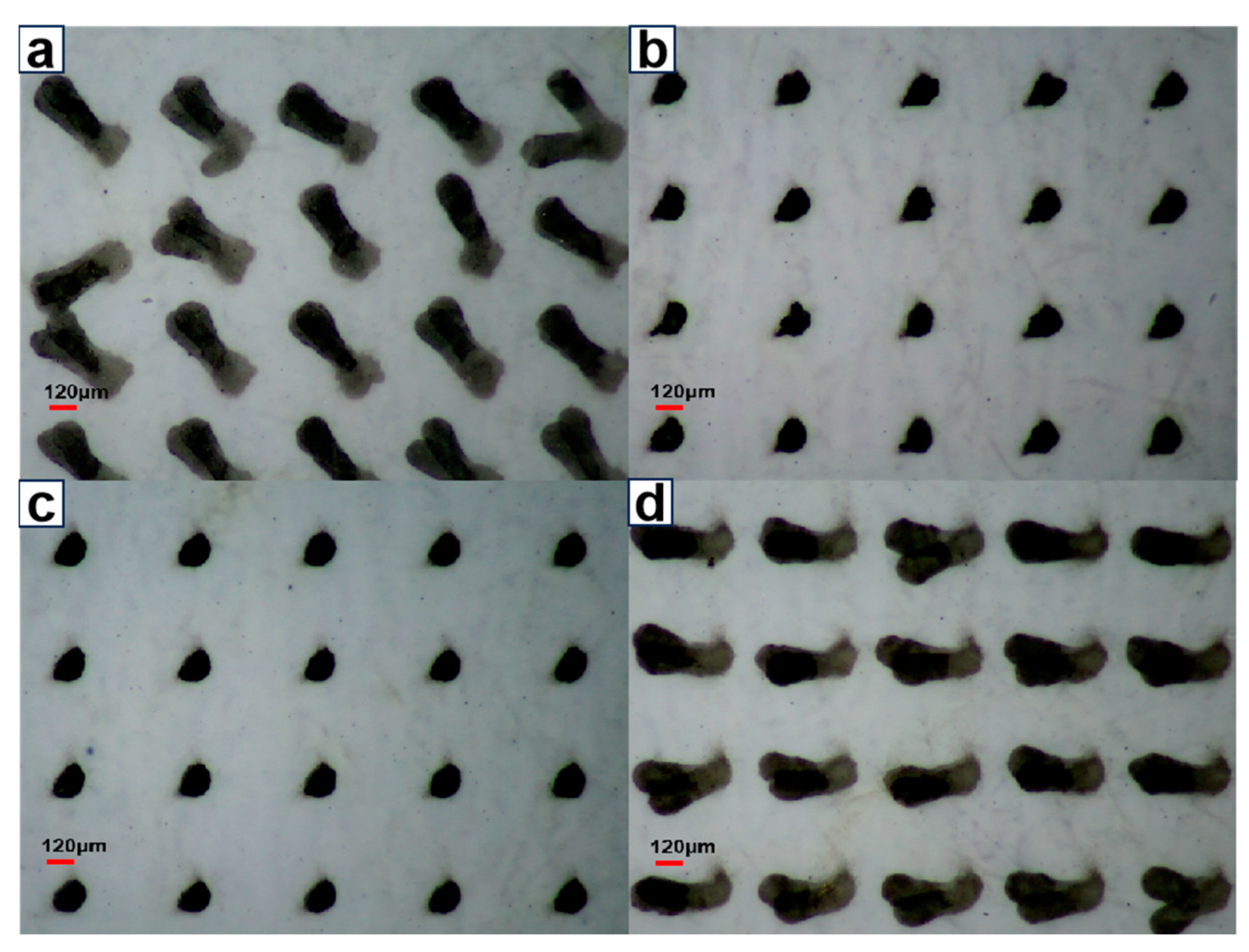 Molecules 29 05105 g012