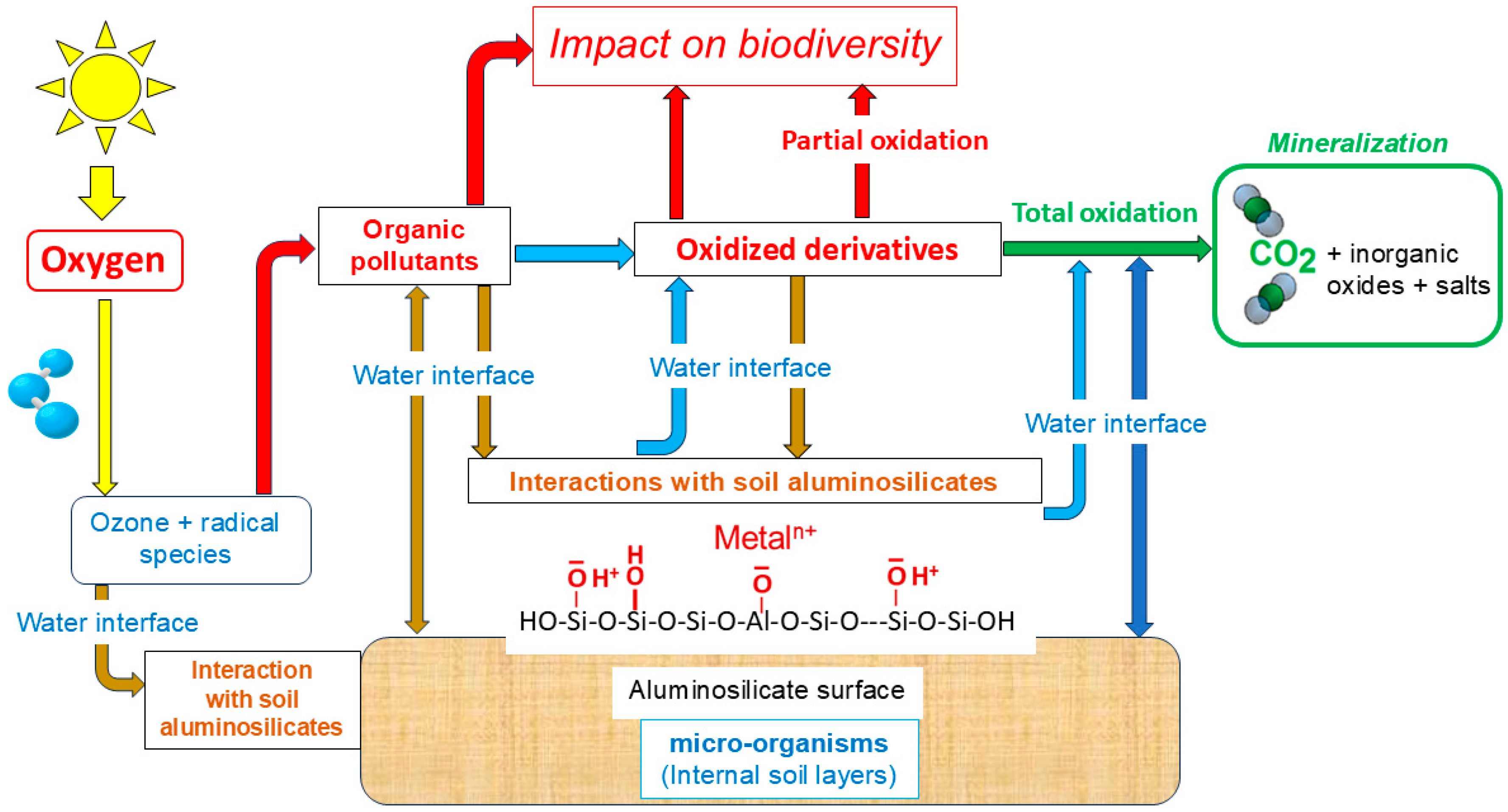 Molecules 29 05108 sch001 Molecules 29 05108 sch001