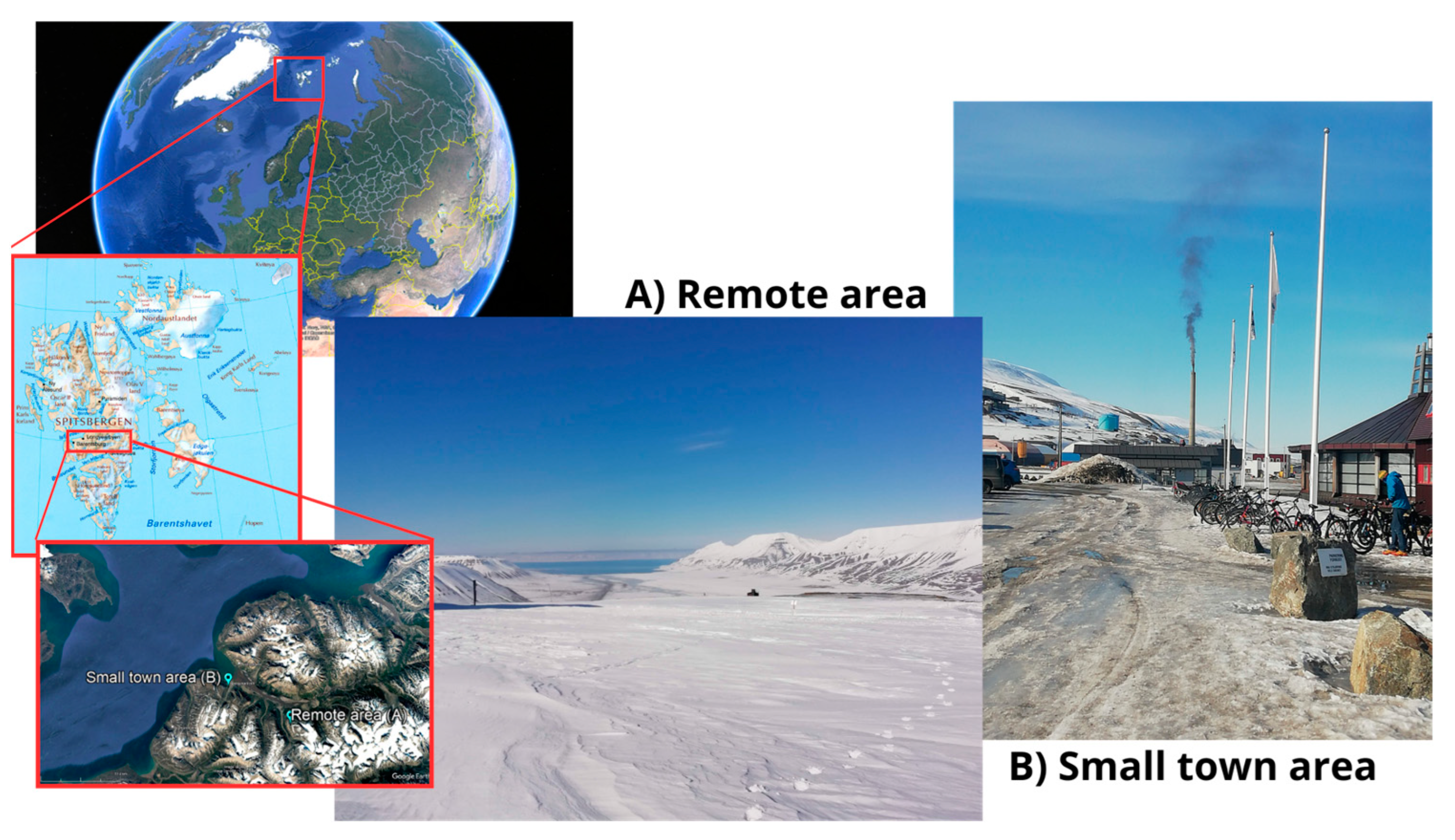 Molecules 29 05111 g005