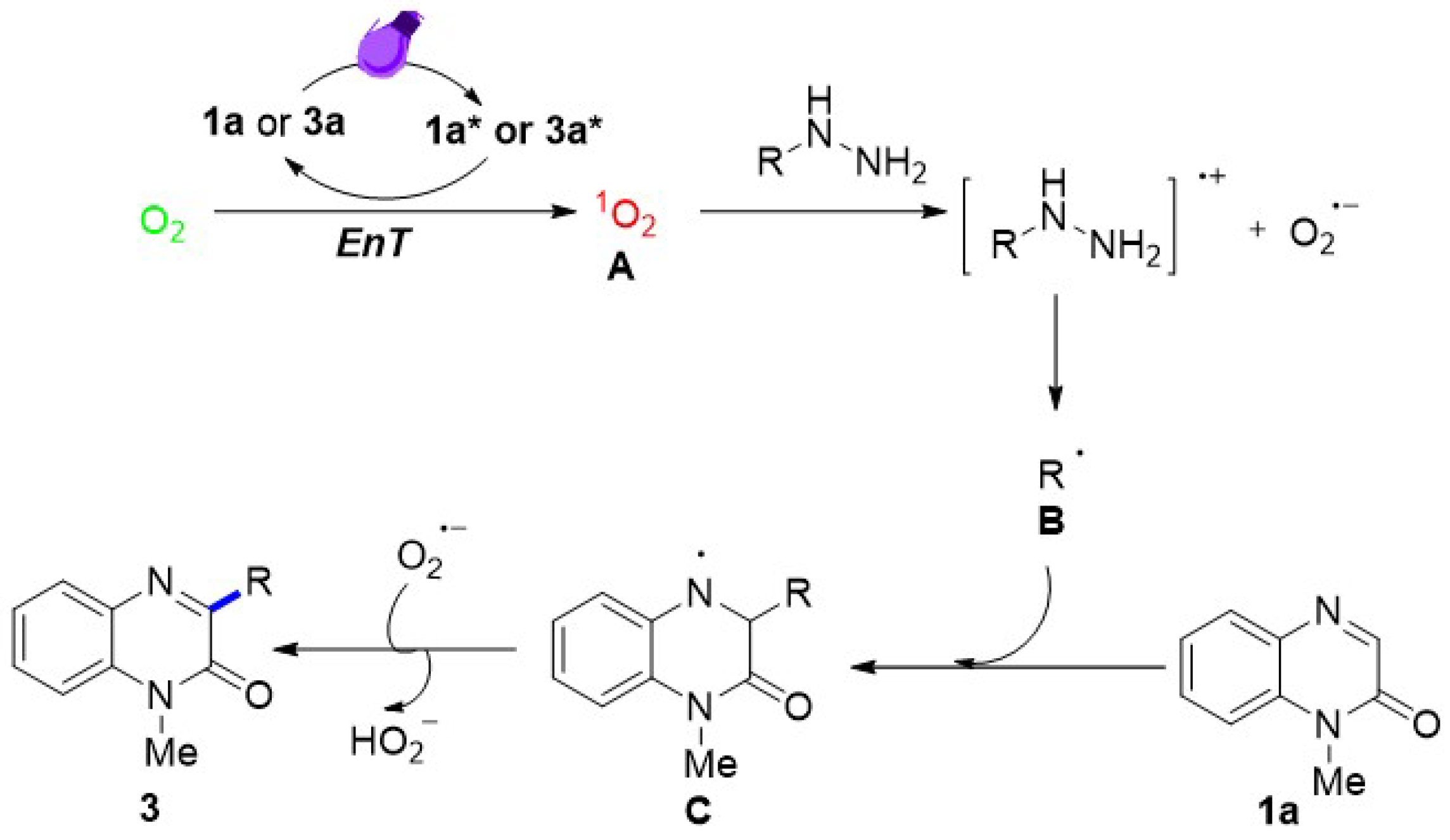 Molecules 29 05113 g002