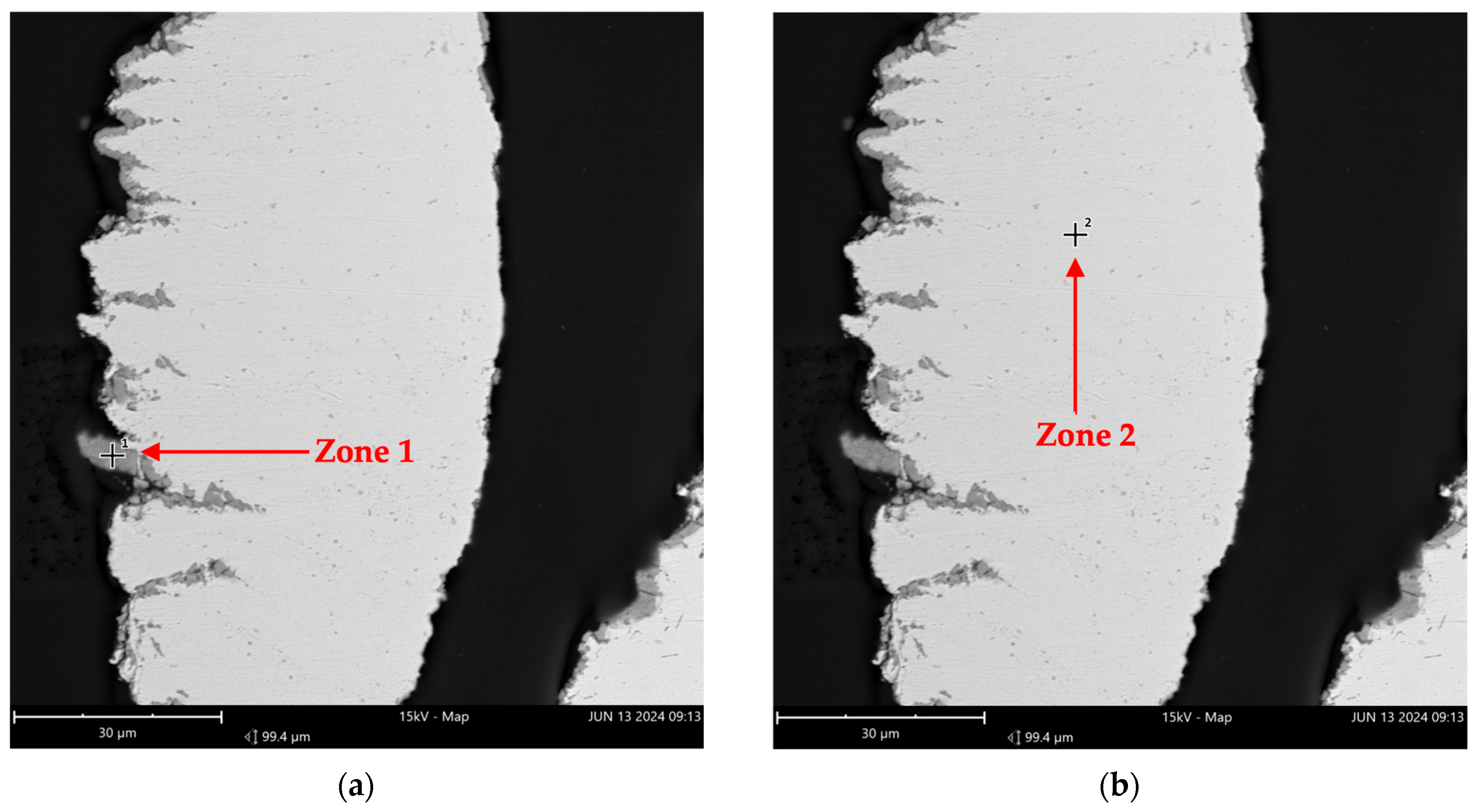 Molecules 29 05126 g008