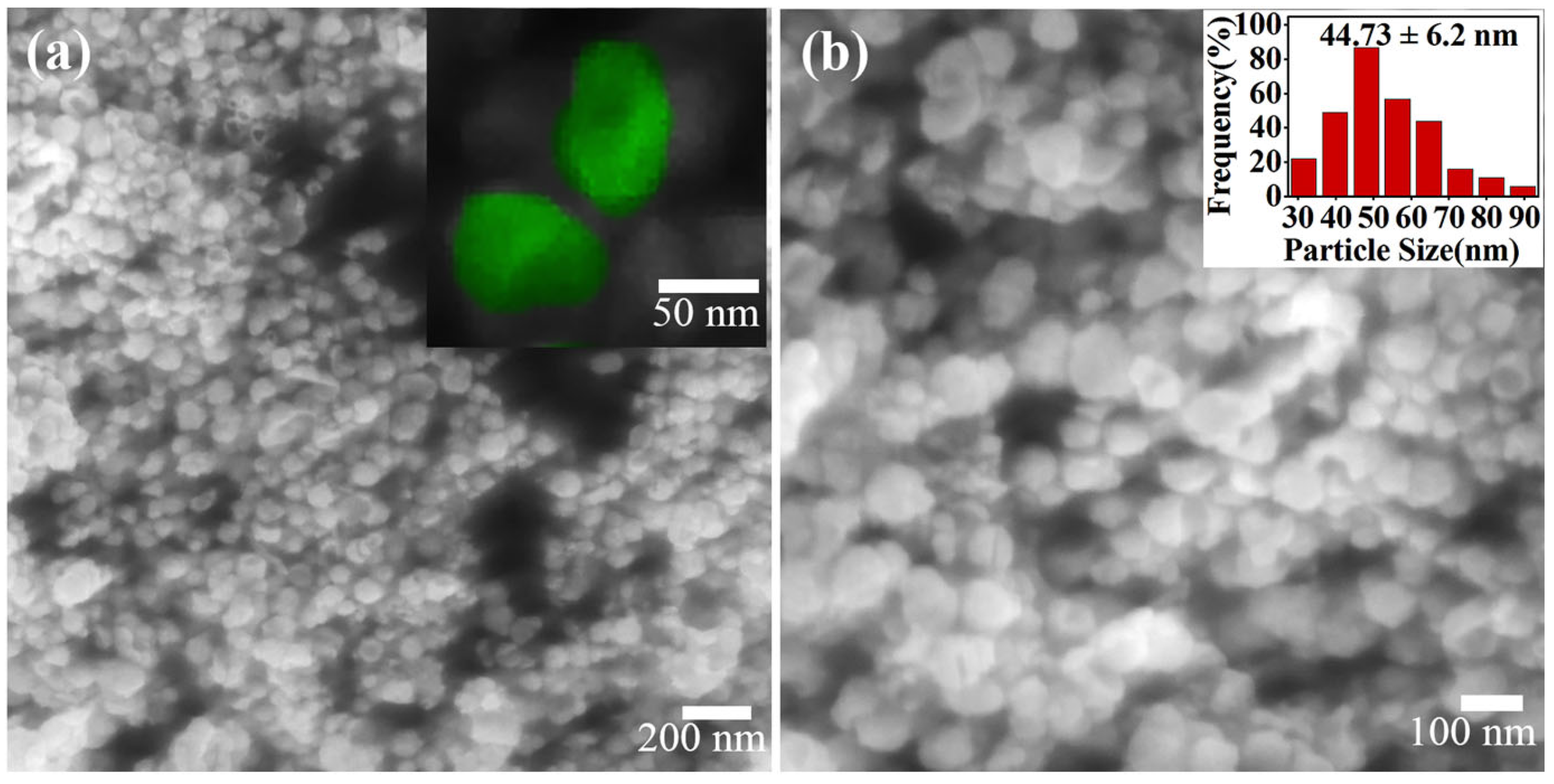 Molecules 29 05128 g001