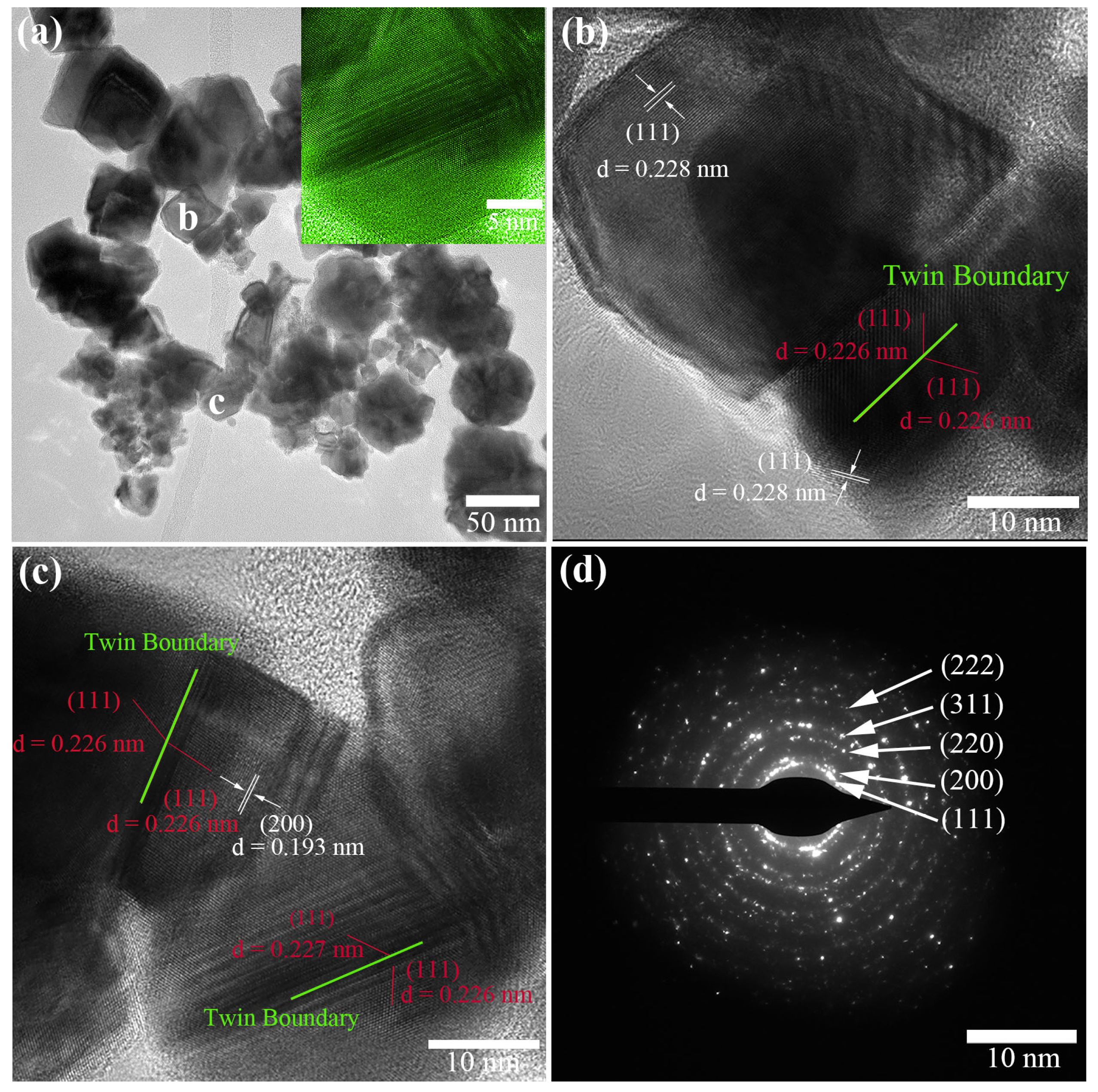 Molecules 29 05128 g002