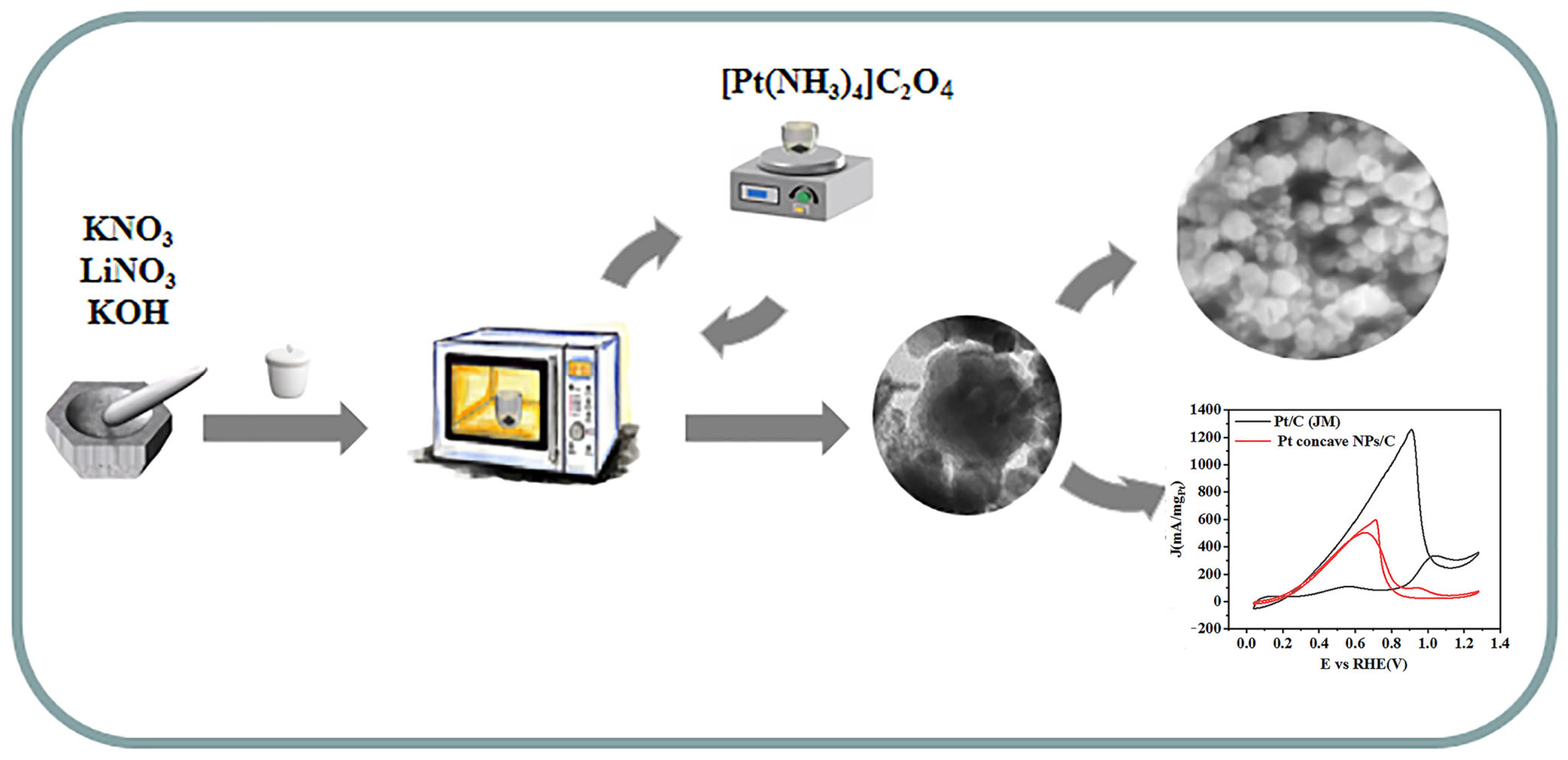Molecules 29 05128 g006