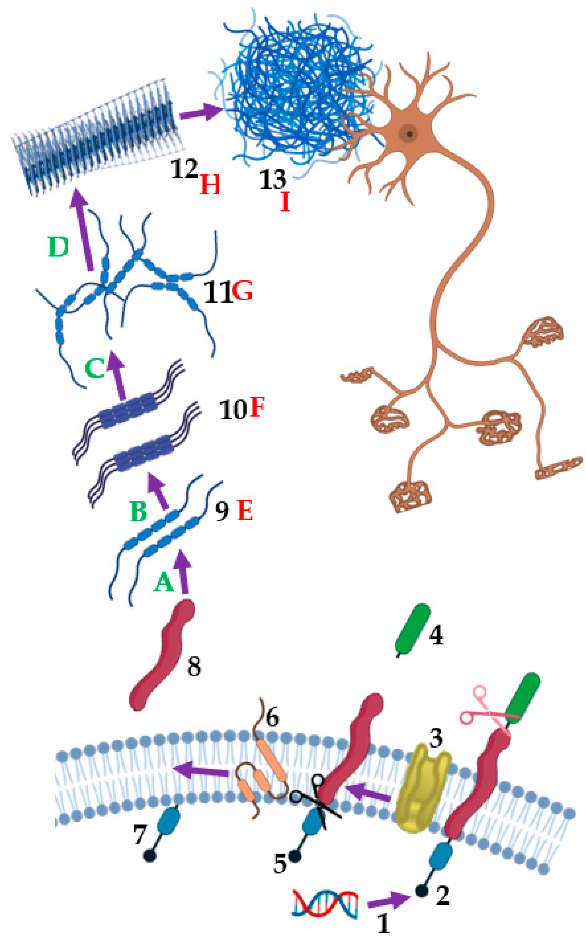 Molecules 29 05131 g003