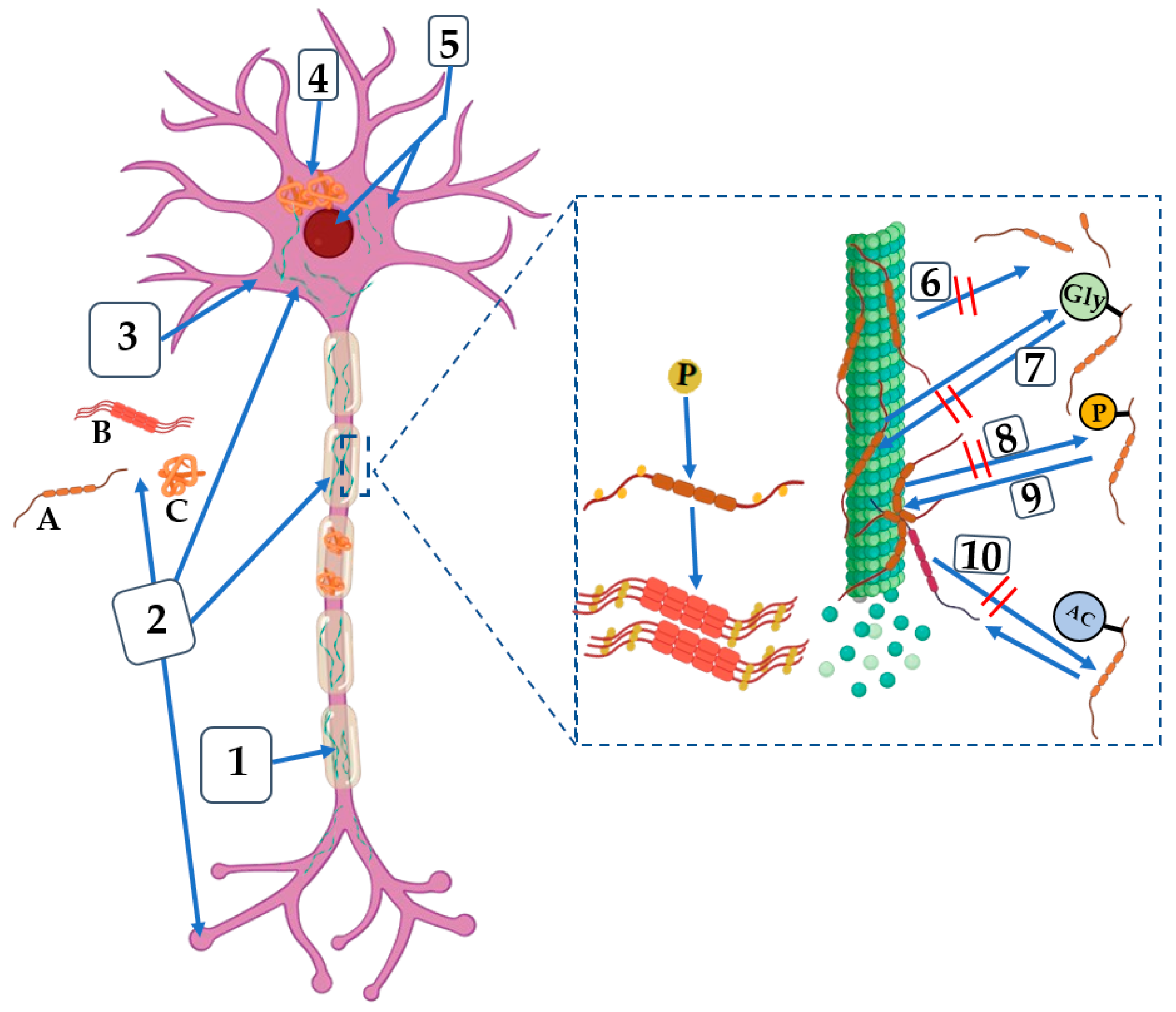 Molecules 29 05131 g004