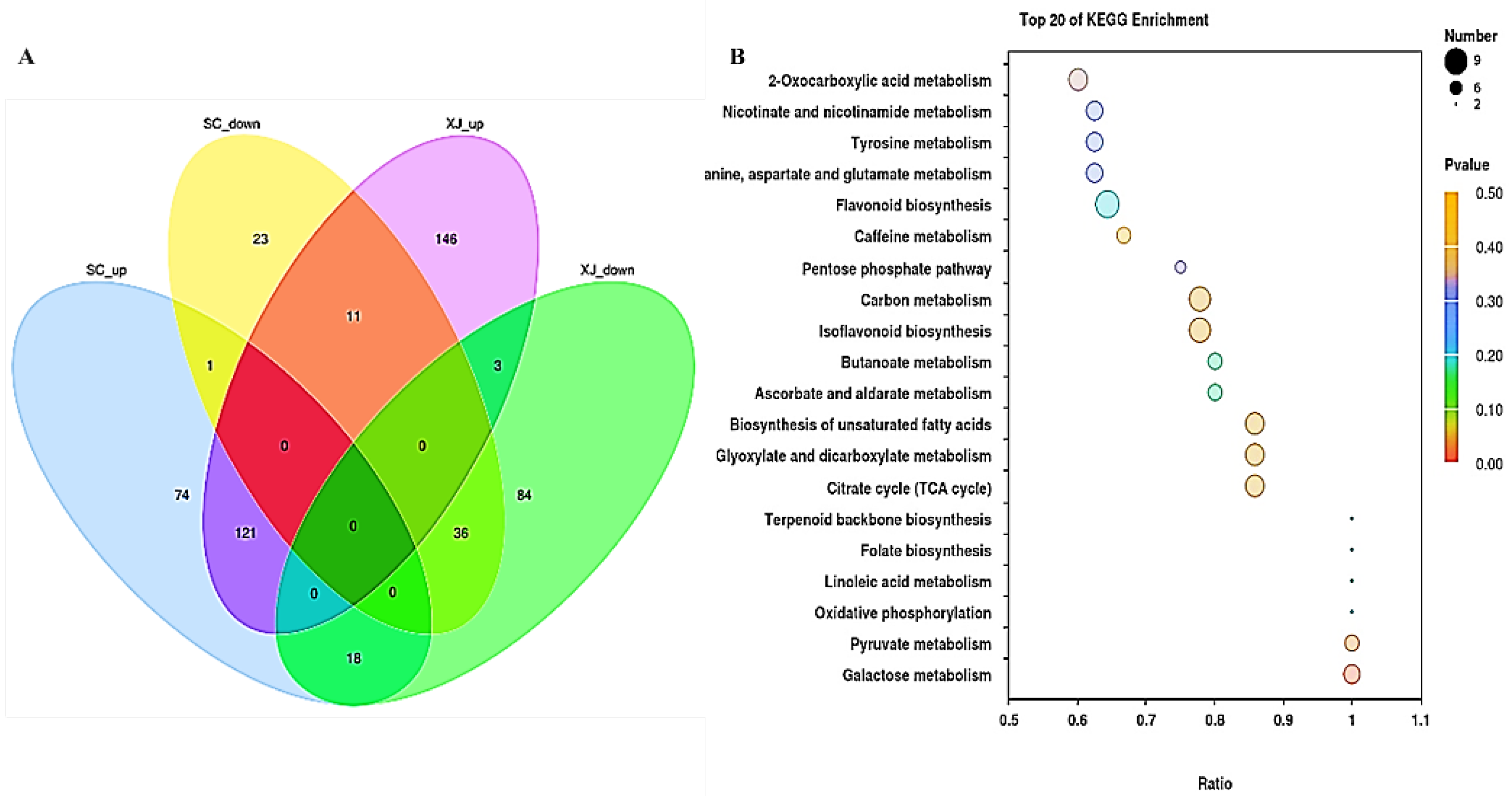 Molecules 29 05133 g005