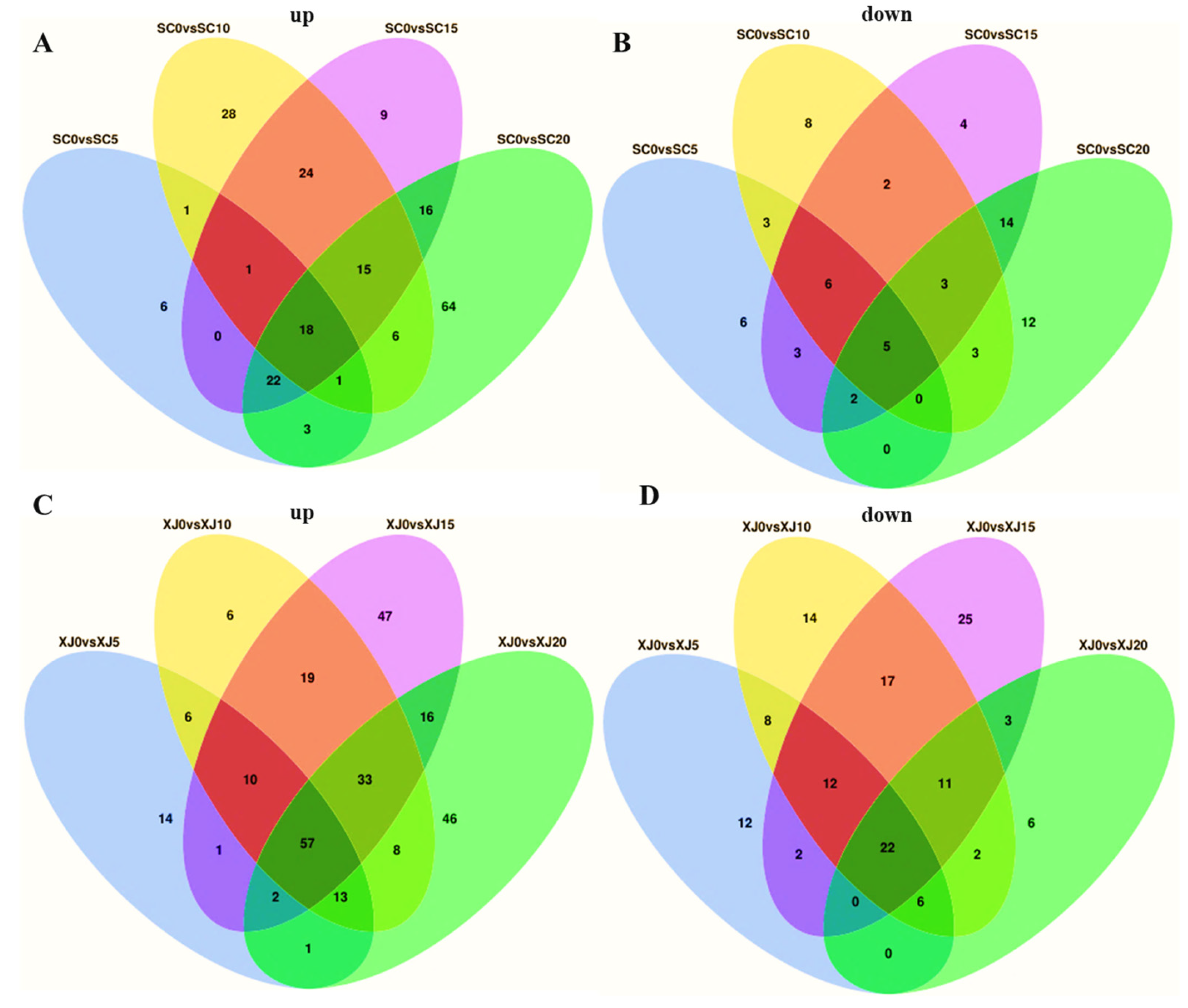 Molecules 29 05133 g006a