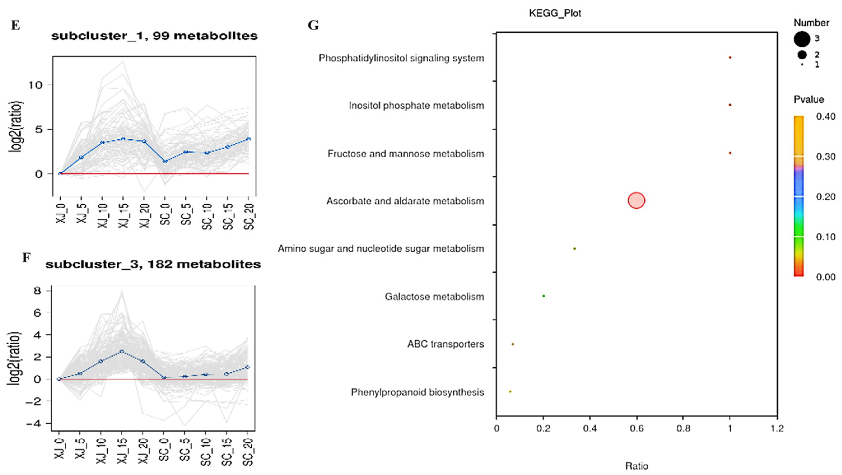 Molecules 29 05133 g006b