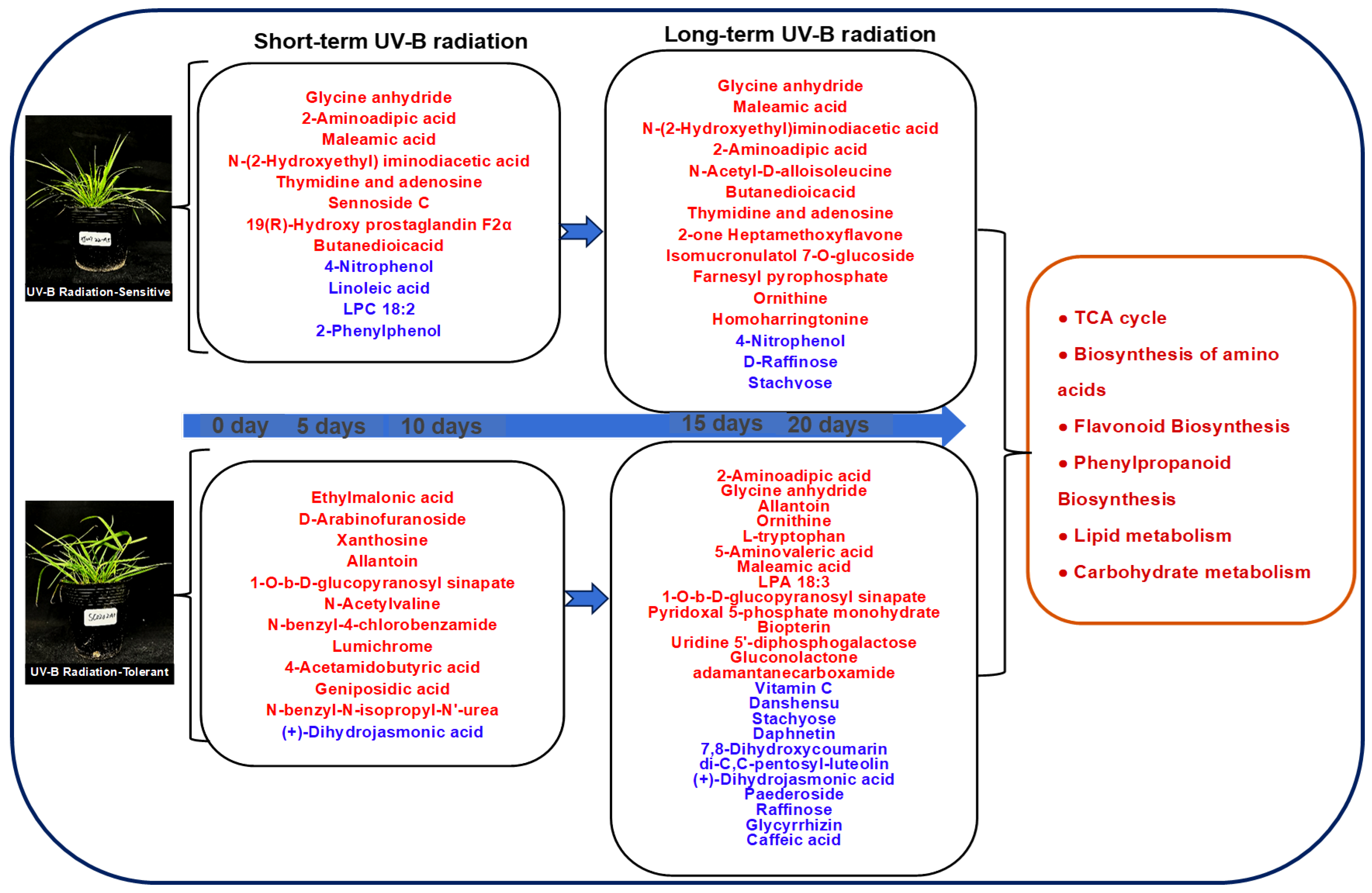 Molecules 29 05133 g008