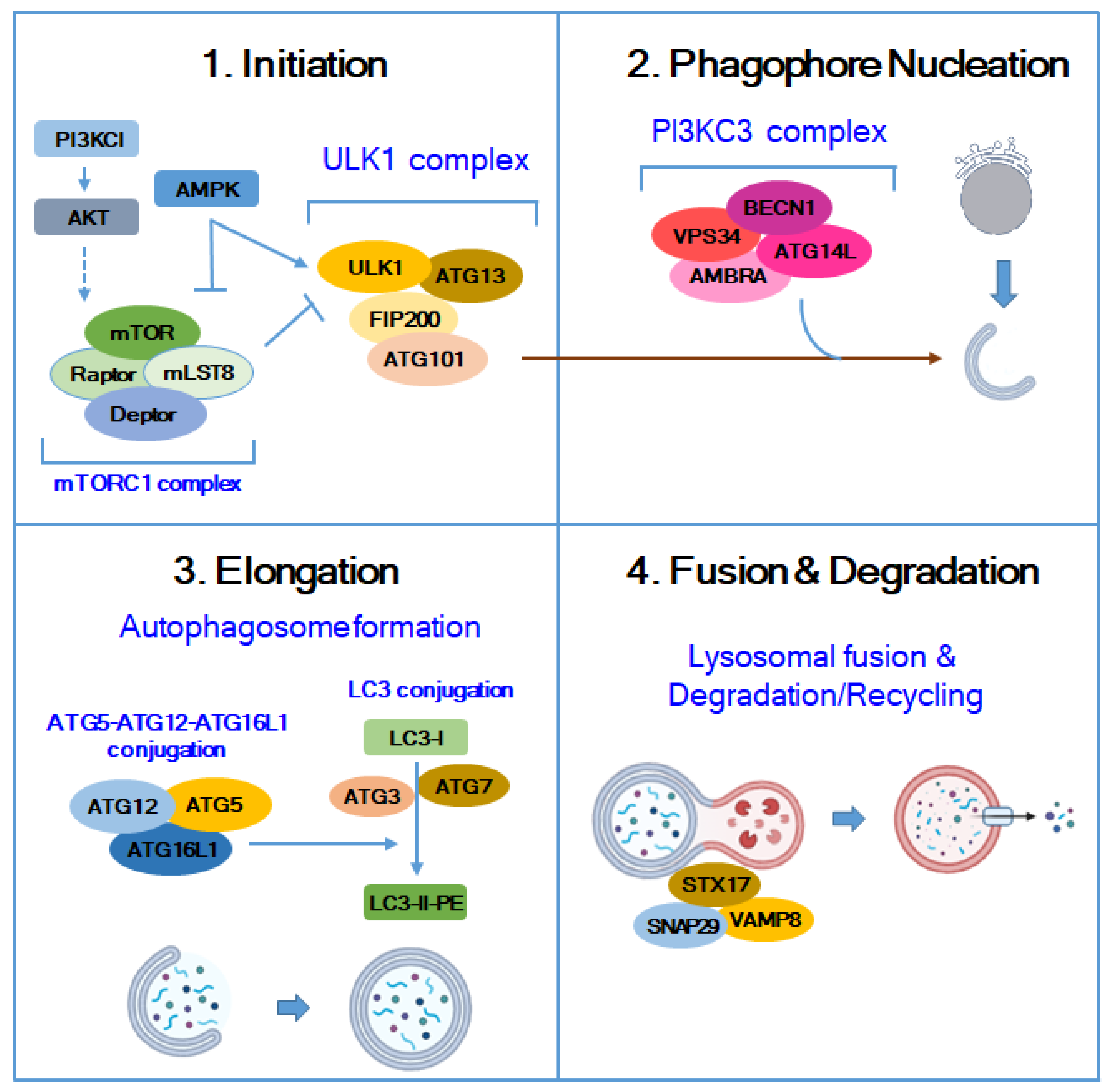 Molecules 29 05134 g001 Molecules 29 05134 g001