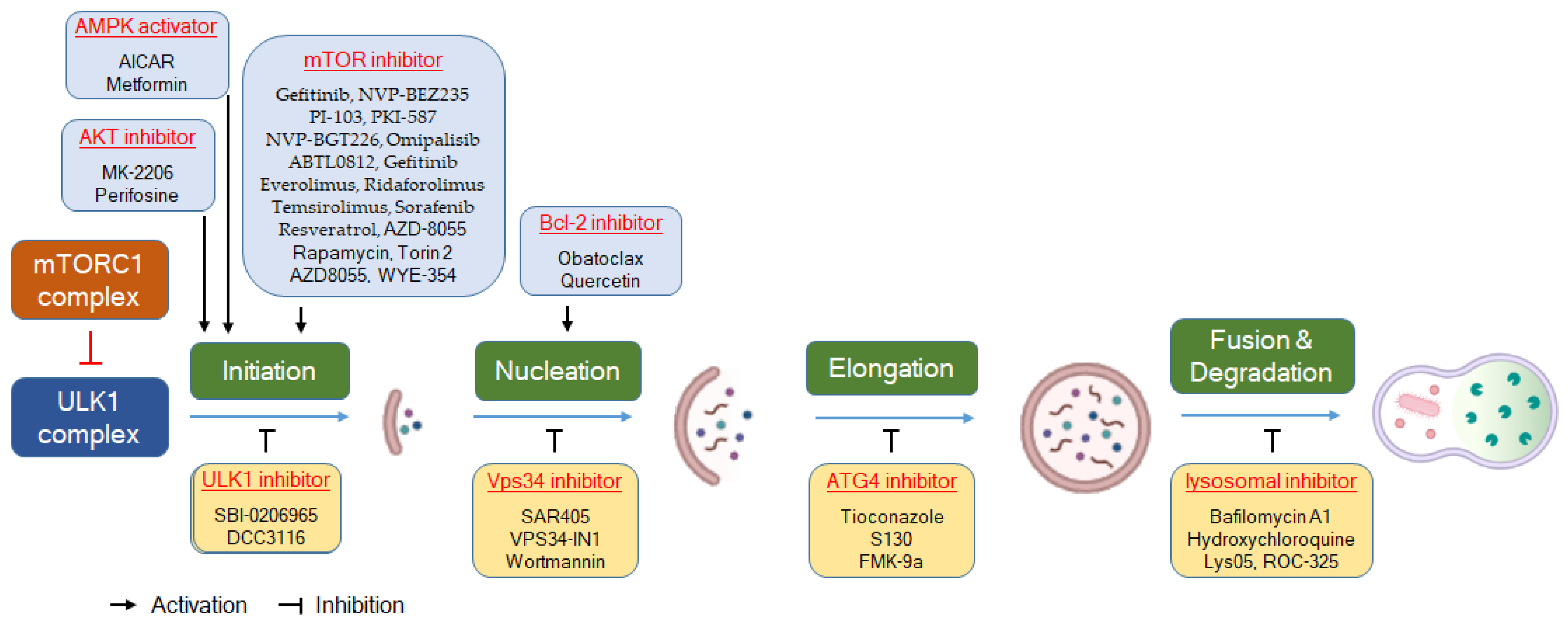 Molecules 29 05134 g002 Molecules 29 05134 g002