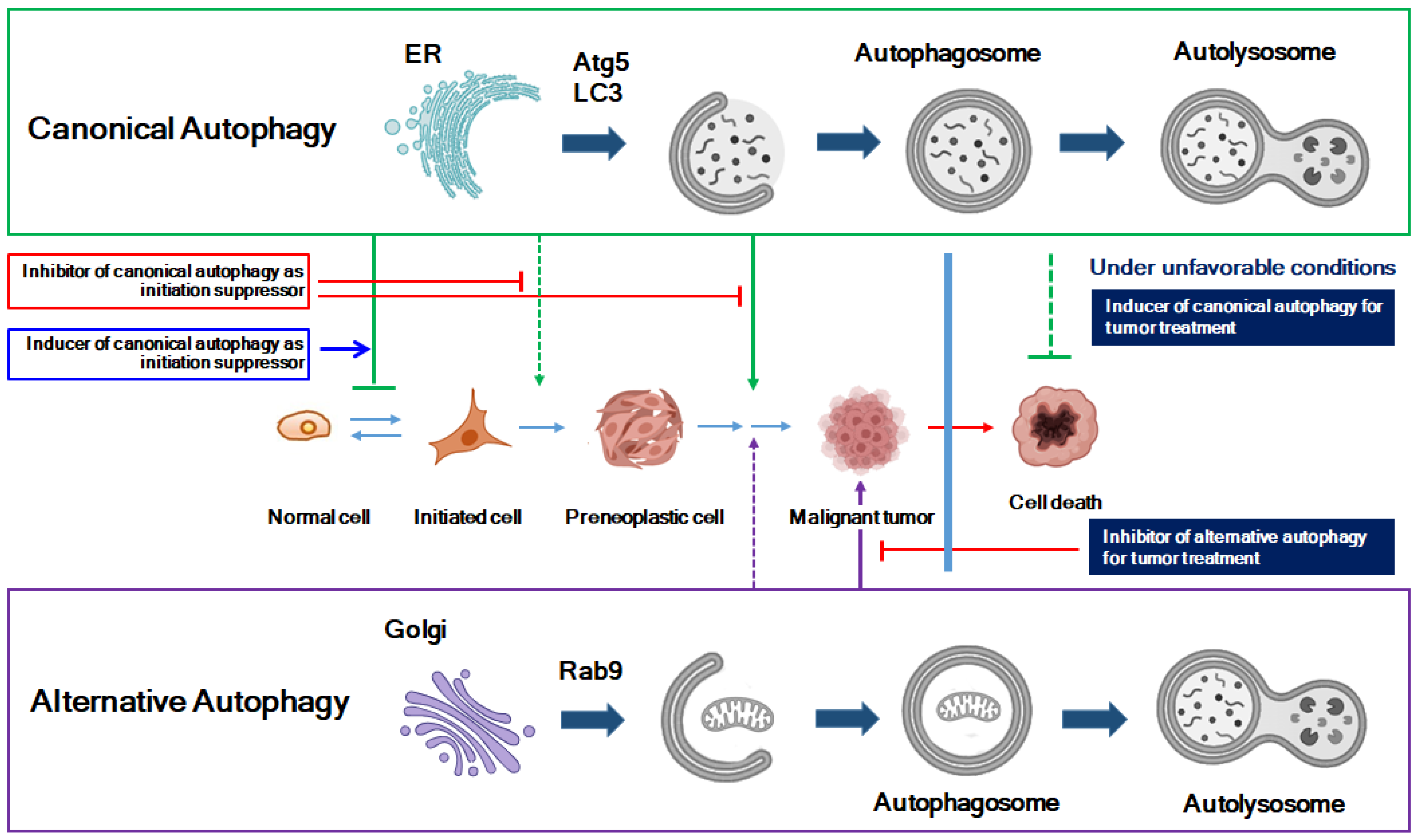 Molecules 29 05134 g003 Molecules 29 05134 g003