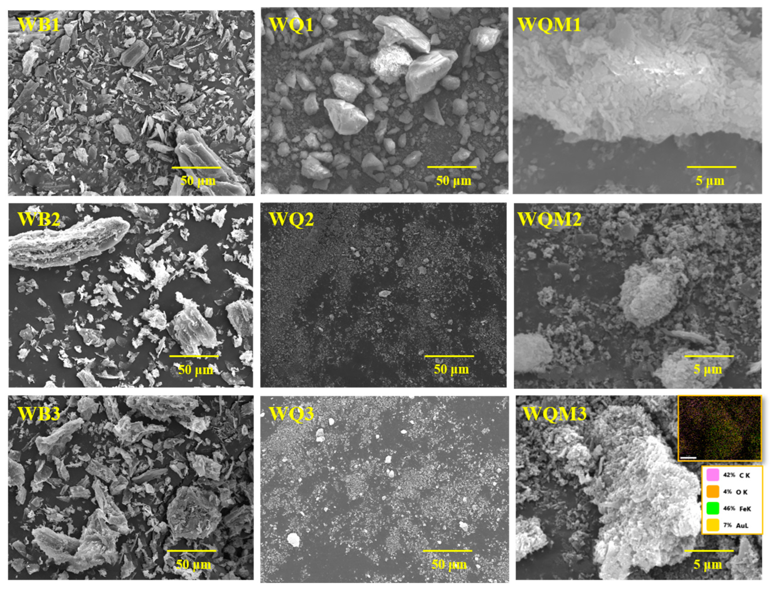 Molecules 29 05141 g001