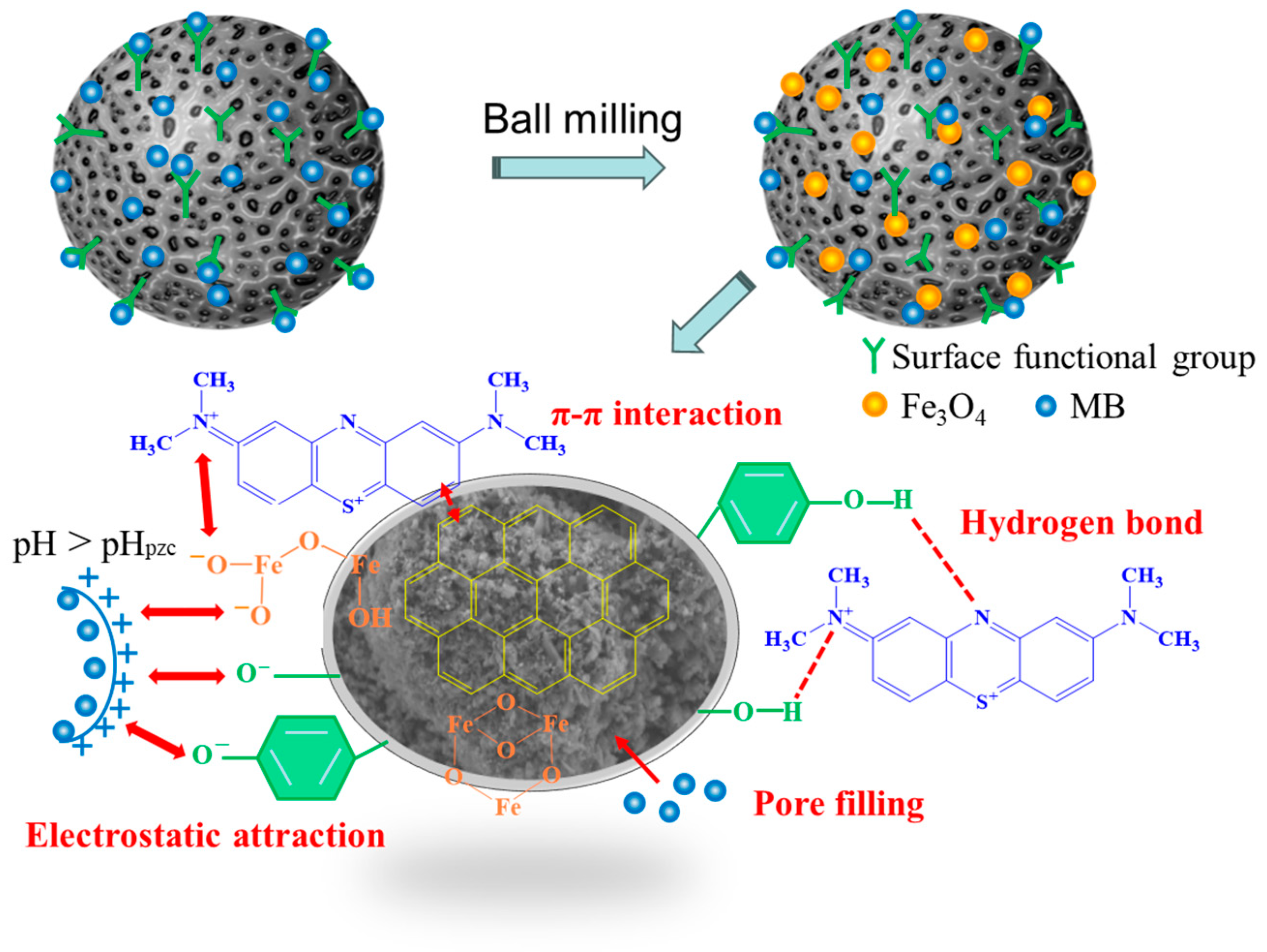 Molecules 29 05141 g008