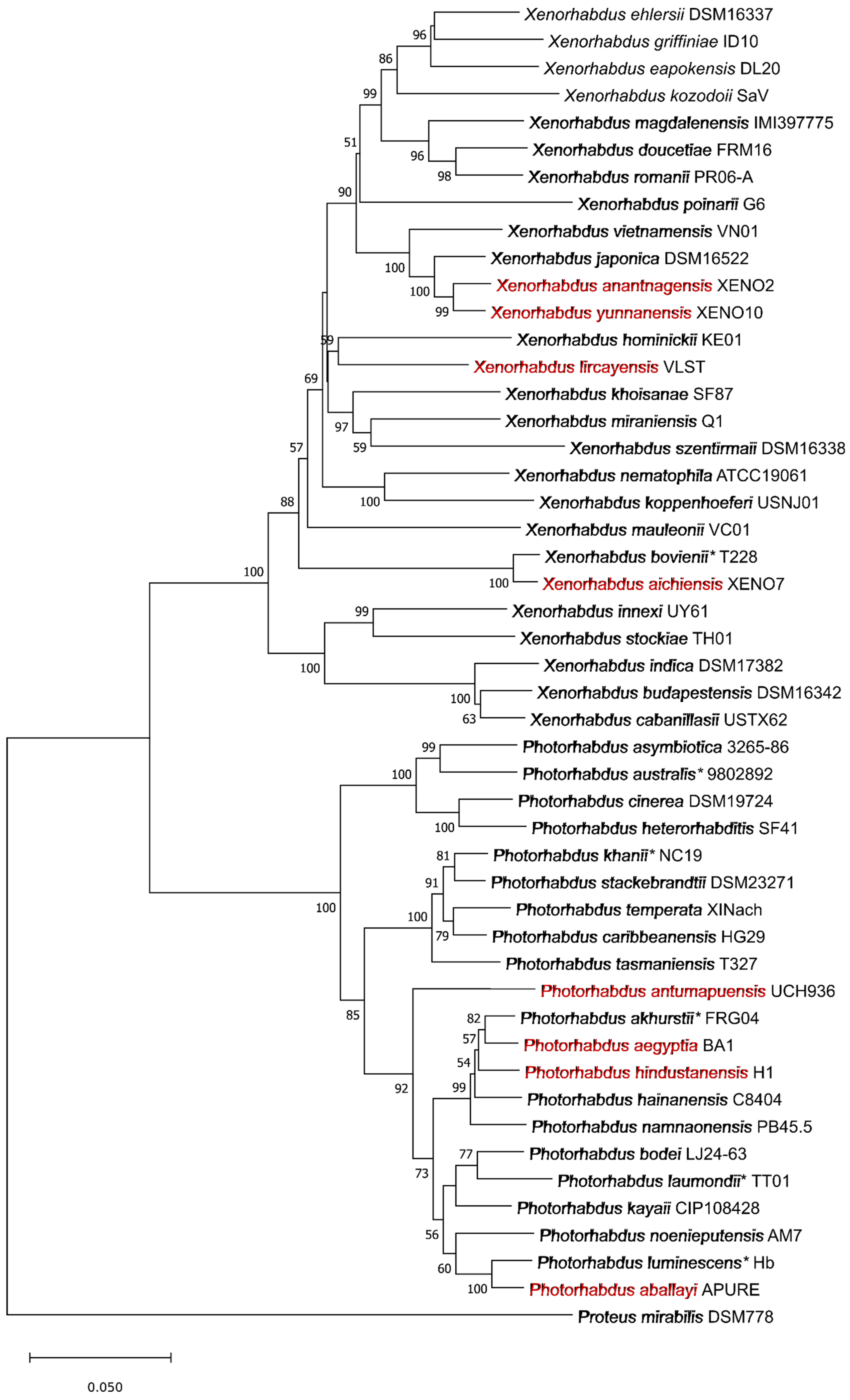 Molecules 29 05151 g001