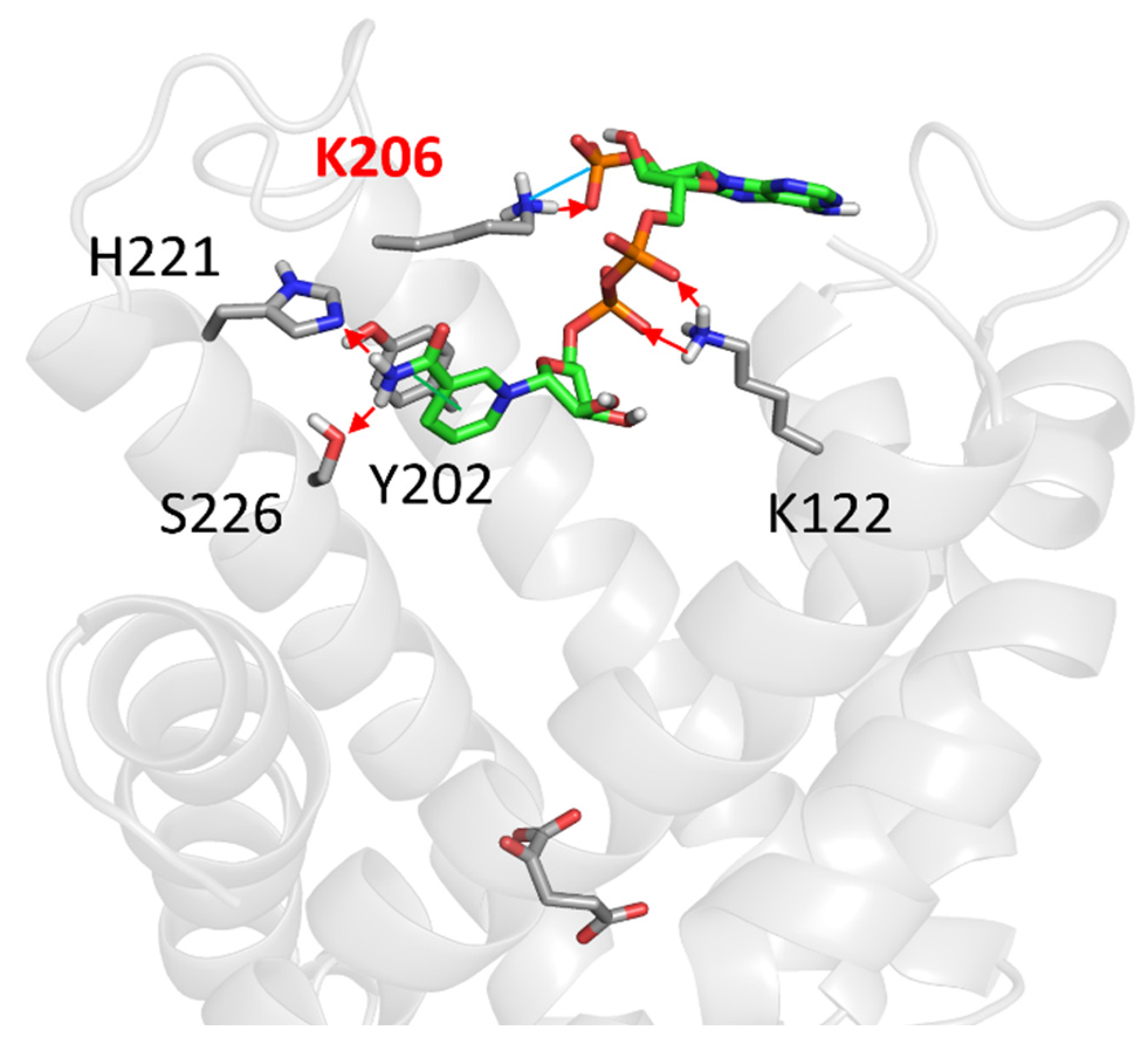 Molecules 29 05154 g008 Molecules 29 05154 g008