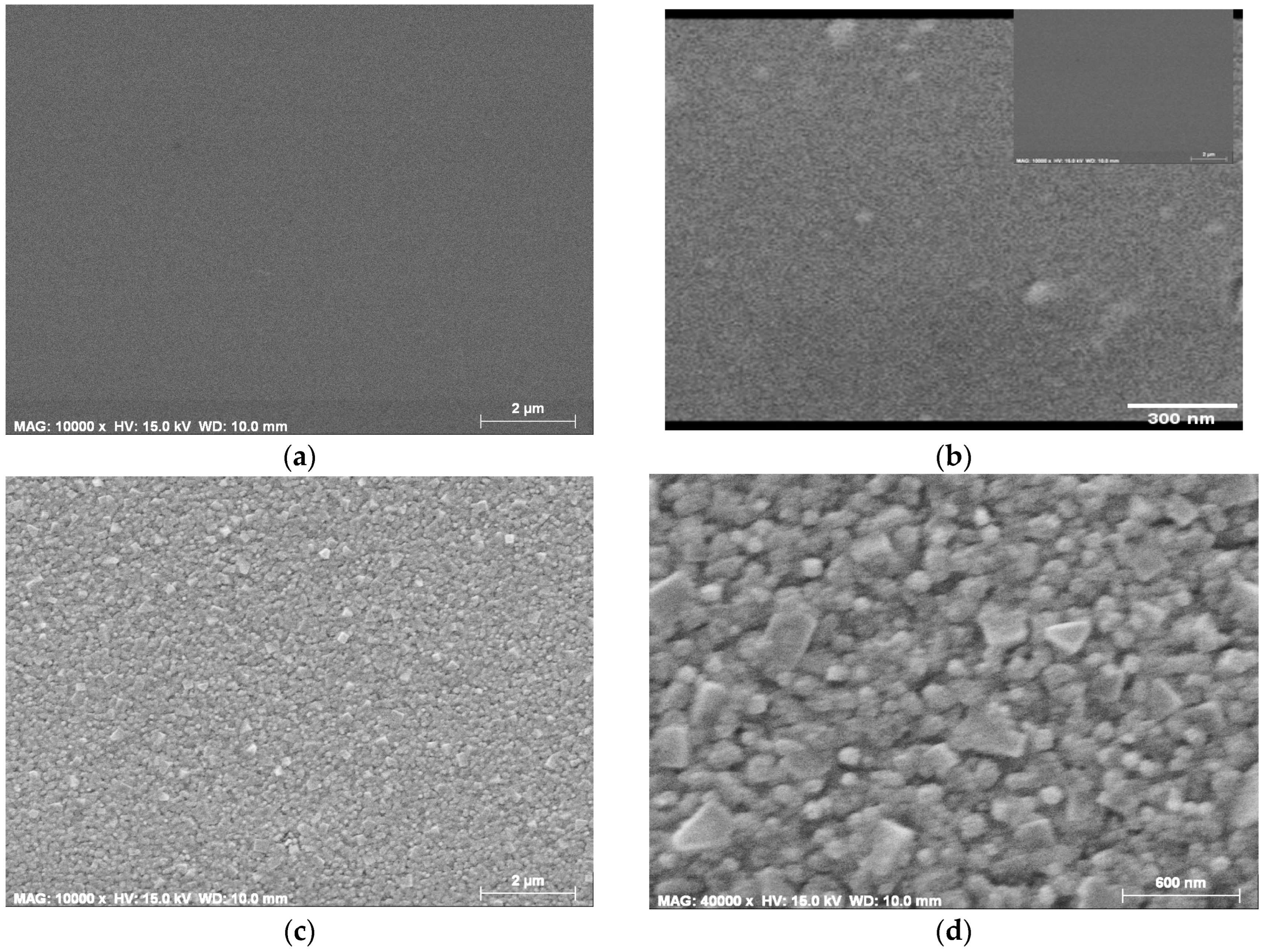 Molecules 29 05156 g001a