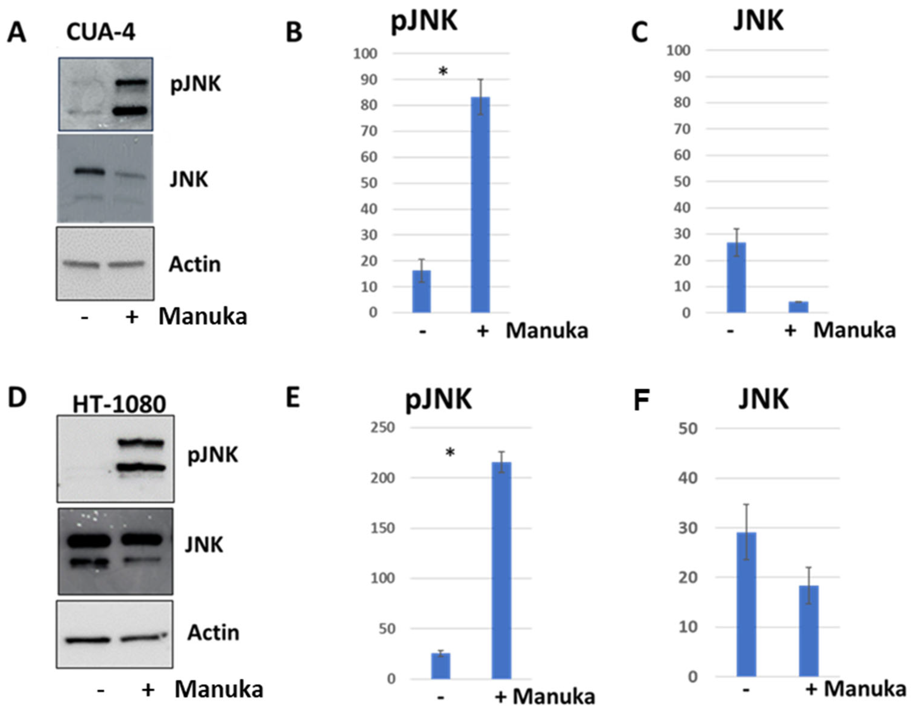 Molecules 29 05168 g008 Molecules 29 05168 g008