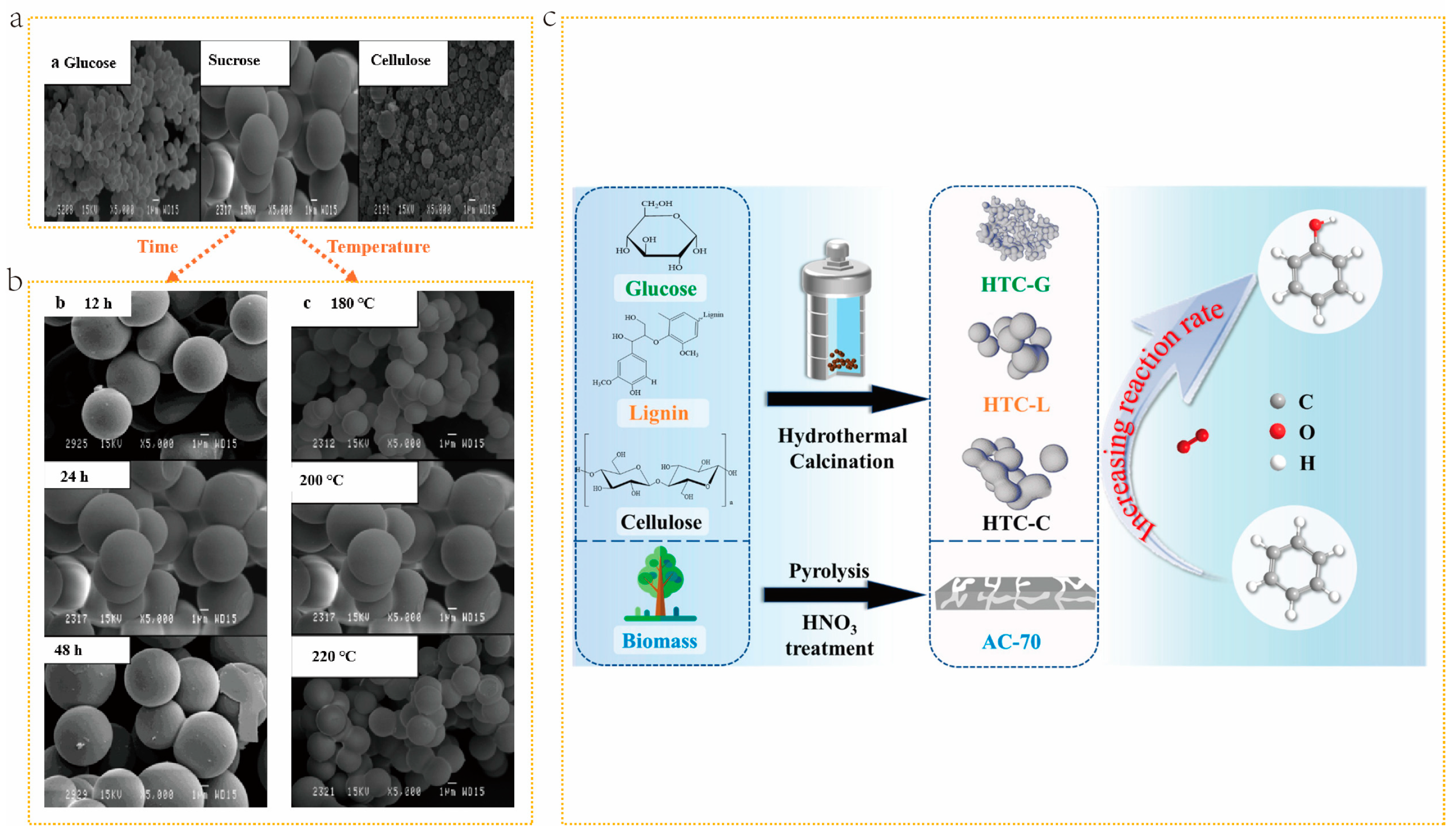 Molecules 29 05172 g006