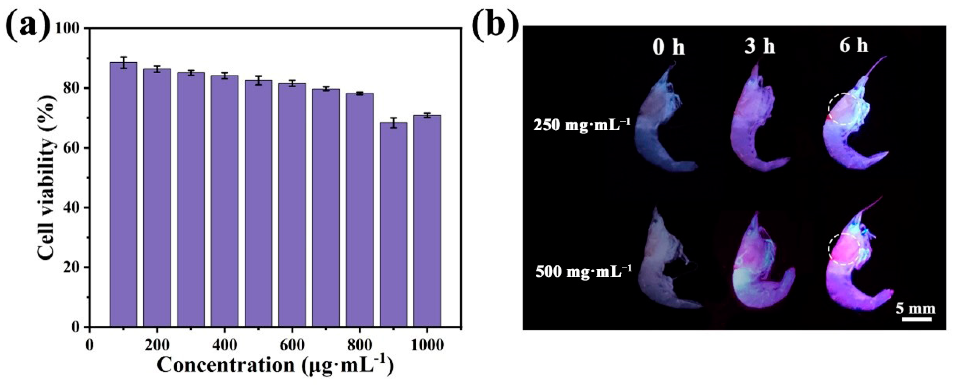 Molecules 29 05178 g012