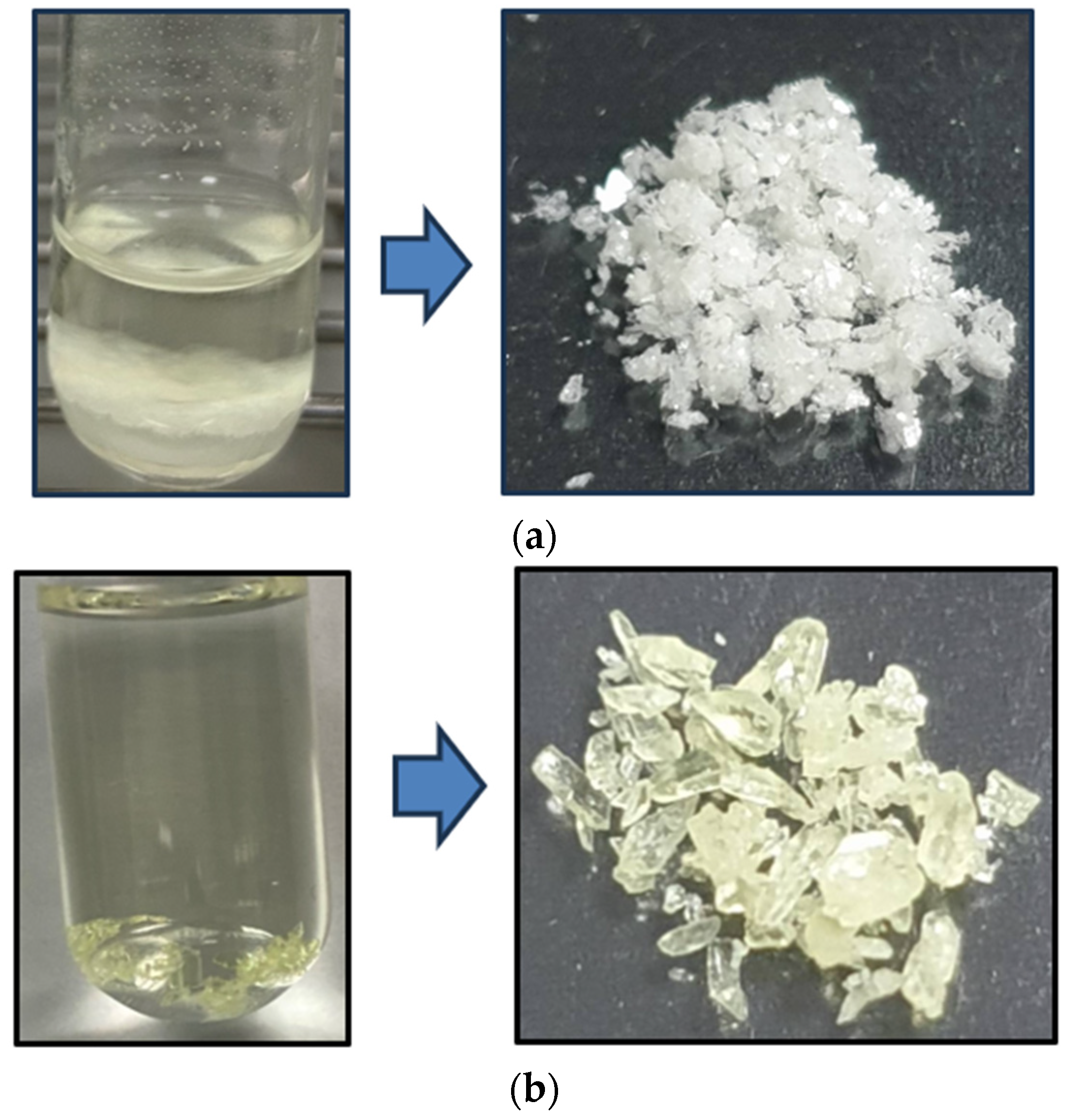 Molecules 29 05186 g008