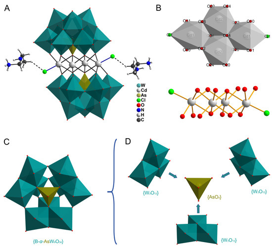 NN Design, Synthesis, and Photophysical Properties of 5