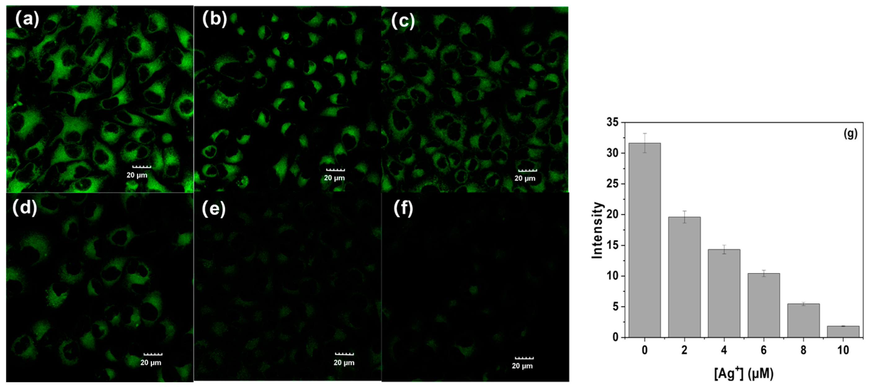 Molecules 29 05196 g005