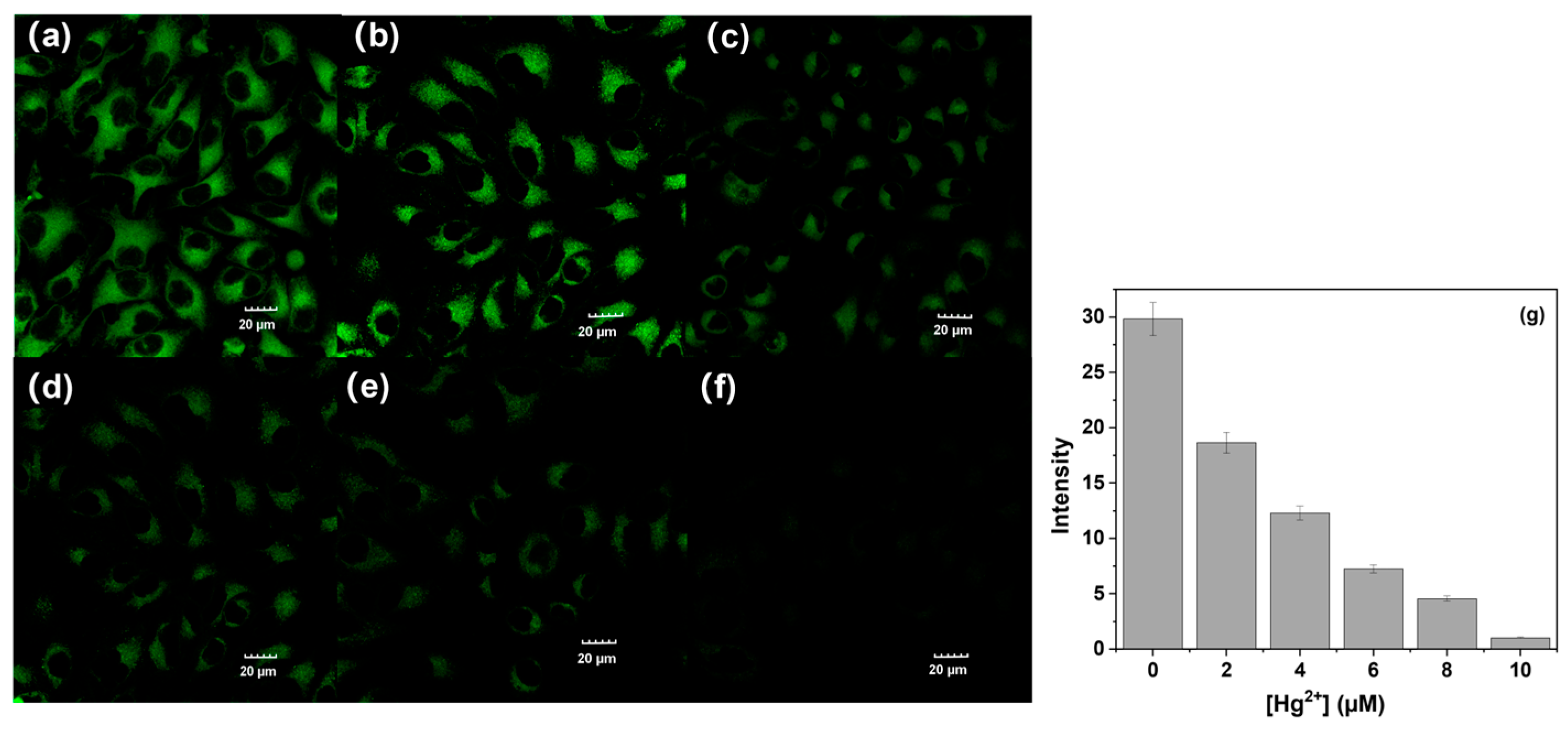 Molecules 29 05196 g006