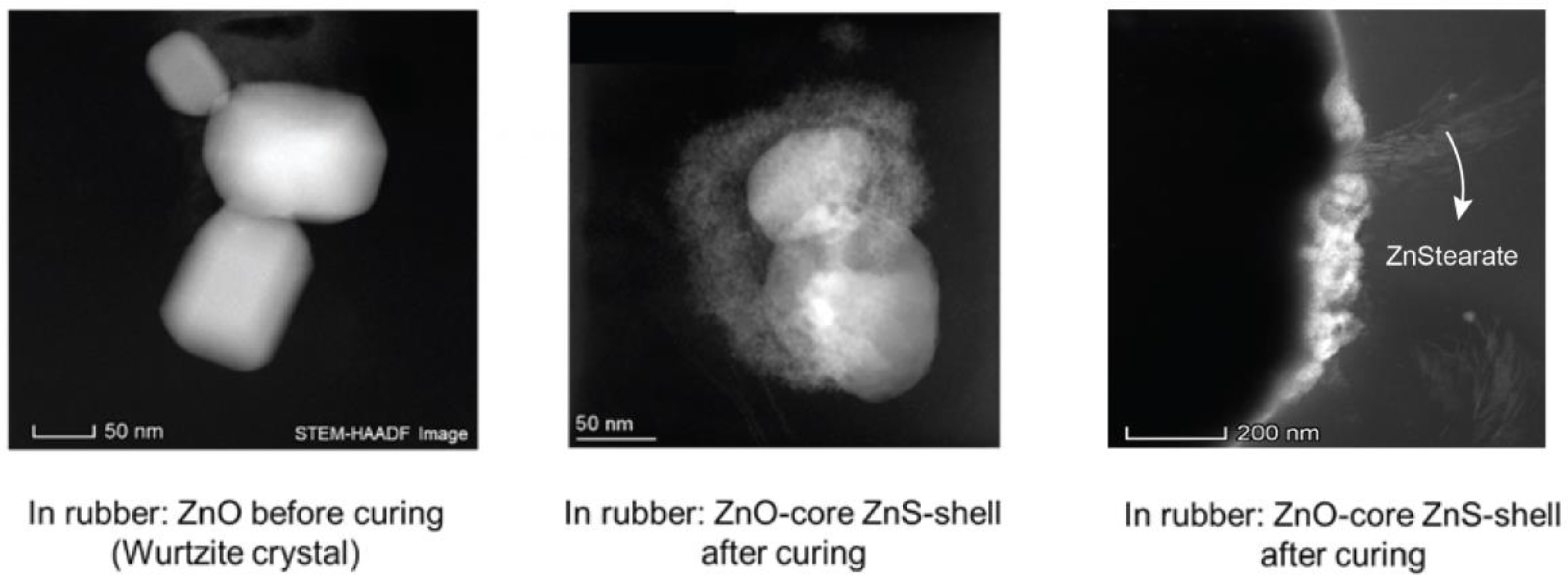 Molecules 29 05198 g003