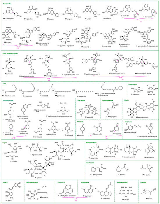 Simultaneous Quantification of 66 Compounds in Two Tibetan