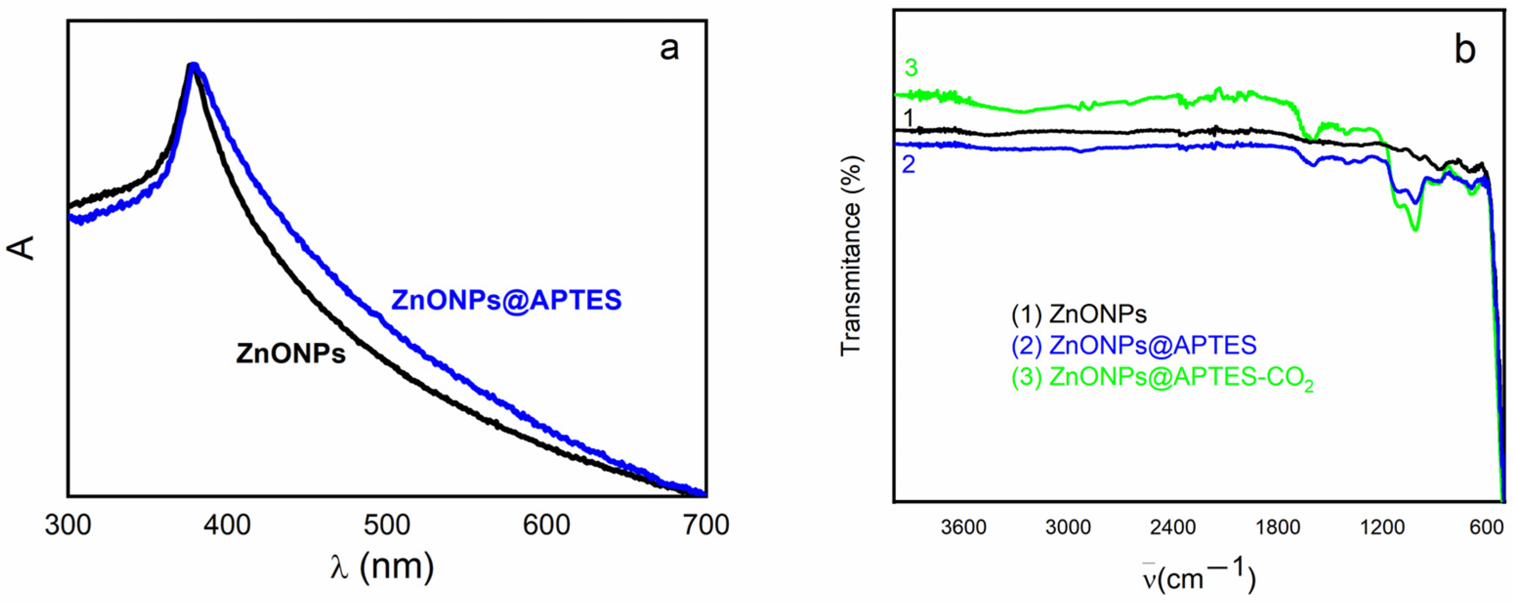 Molecules 29 05219 g001