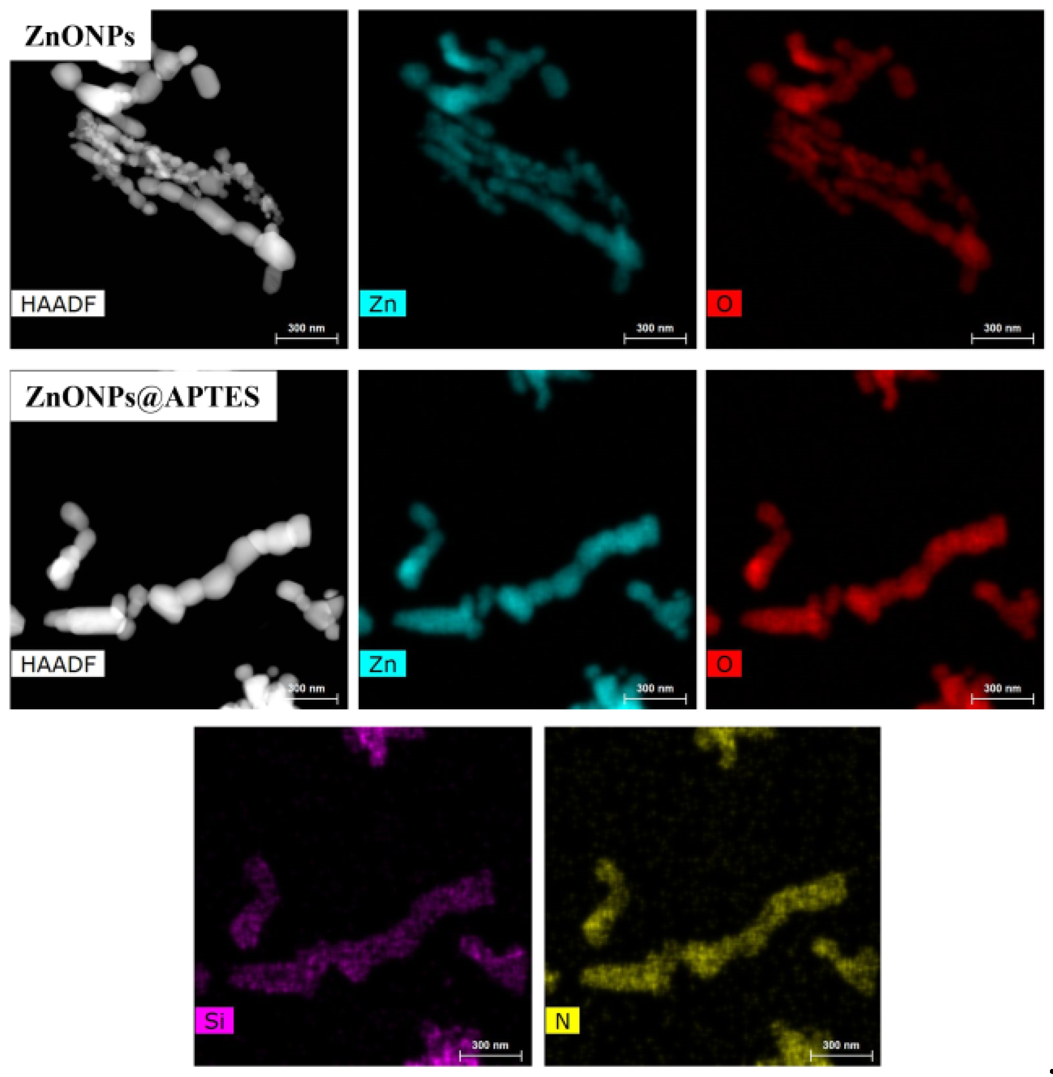 Molecules 29 05219 g005