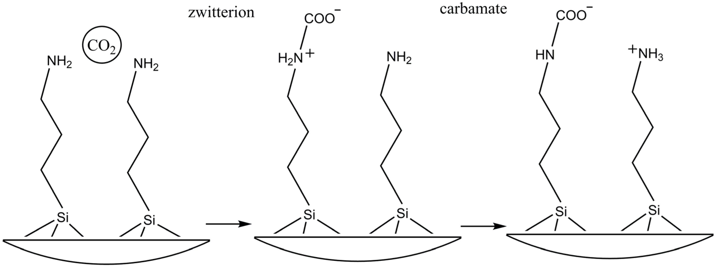 Molecules 29 05219 g008