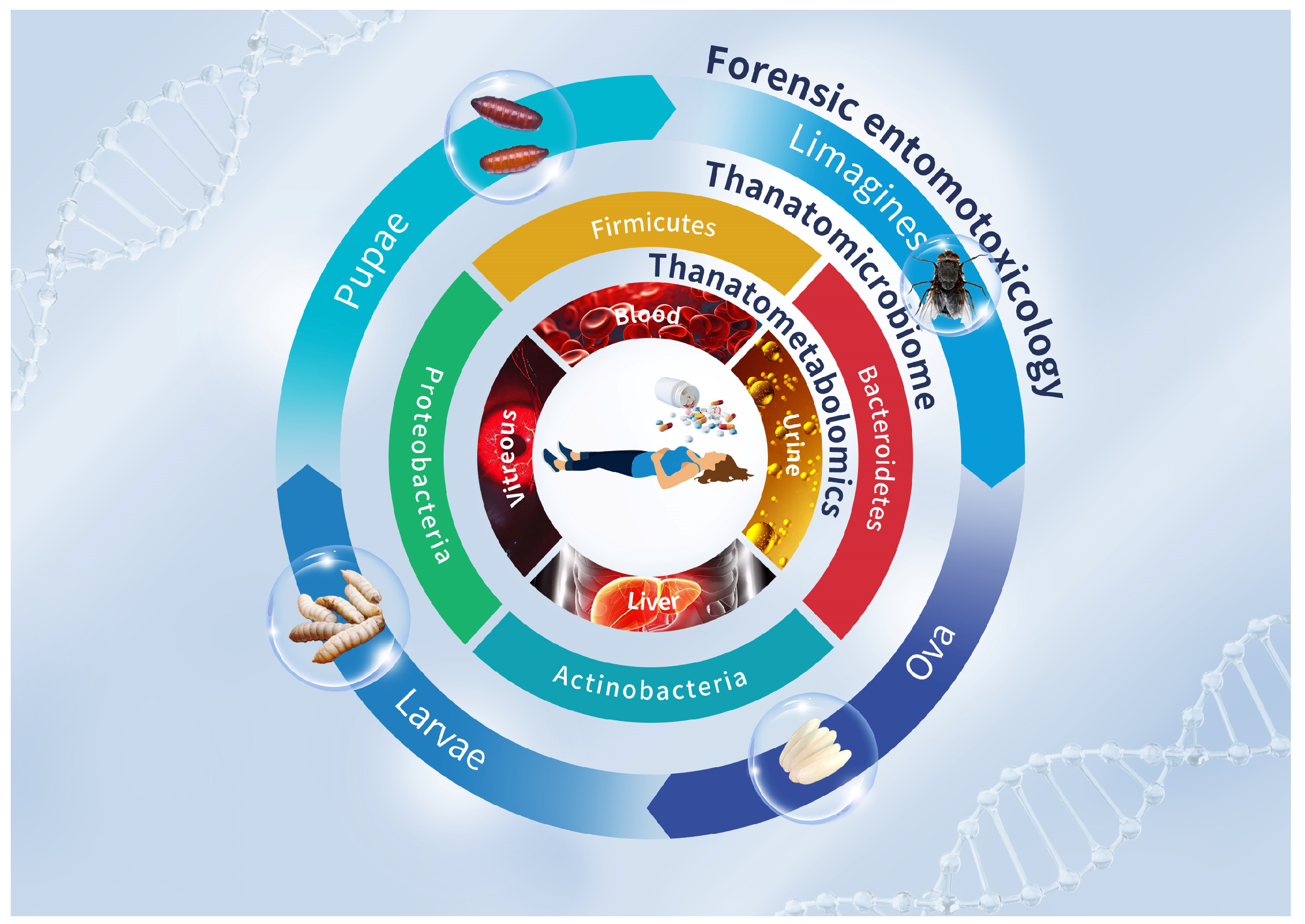 Molecules 29 05221 g001
