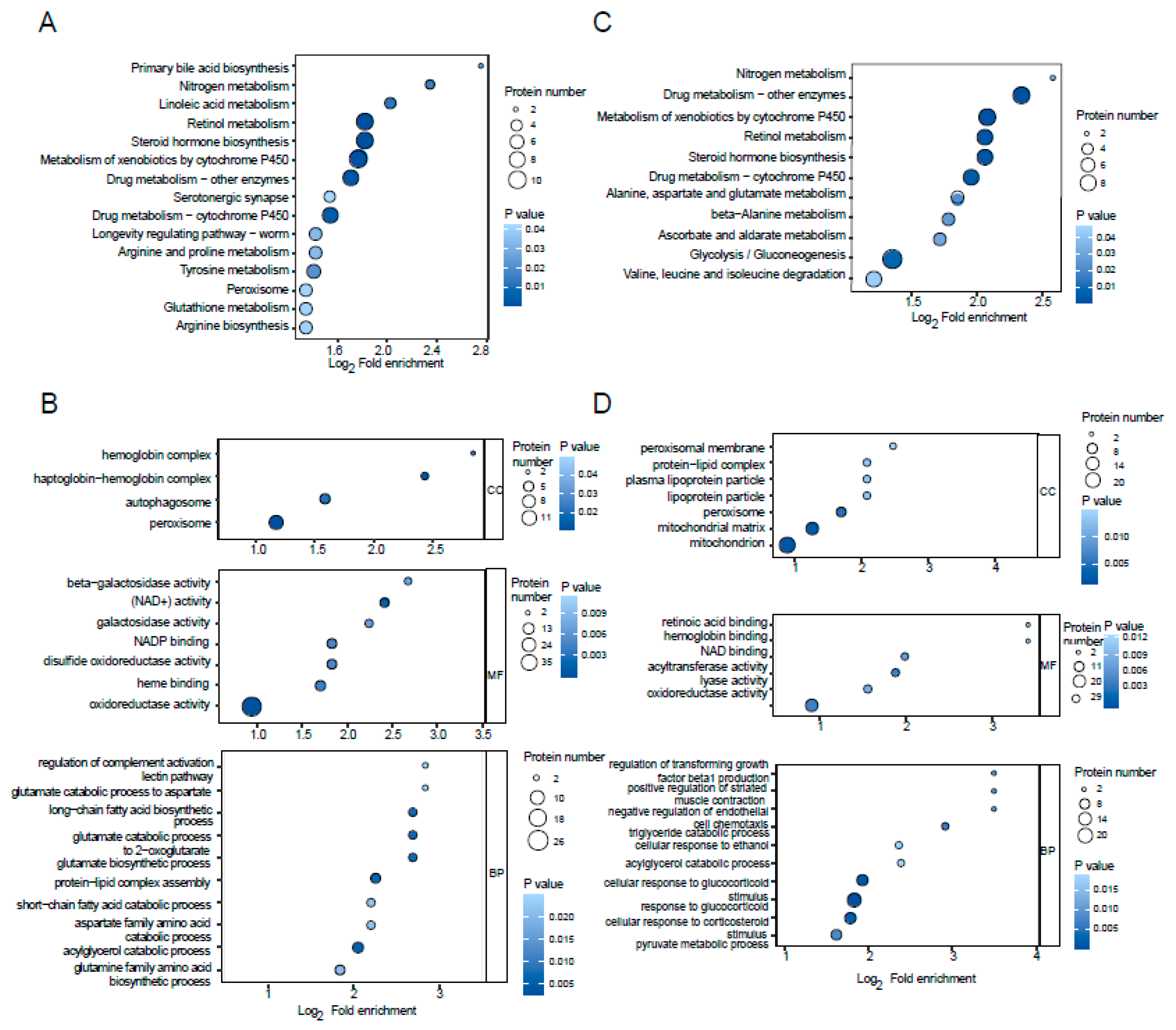Molecules 29 05222 g003