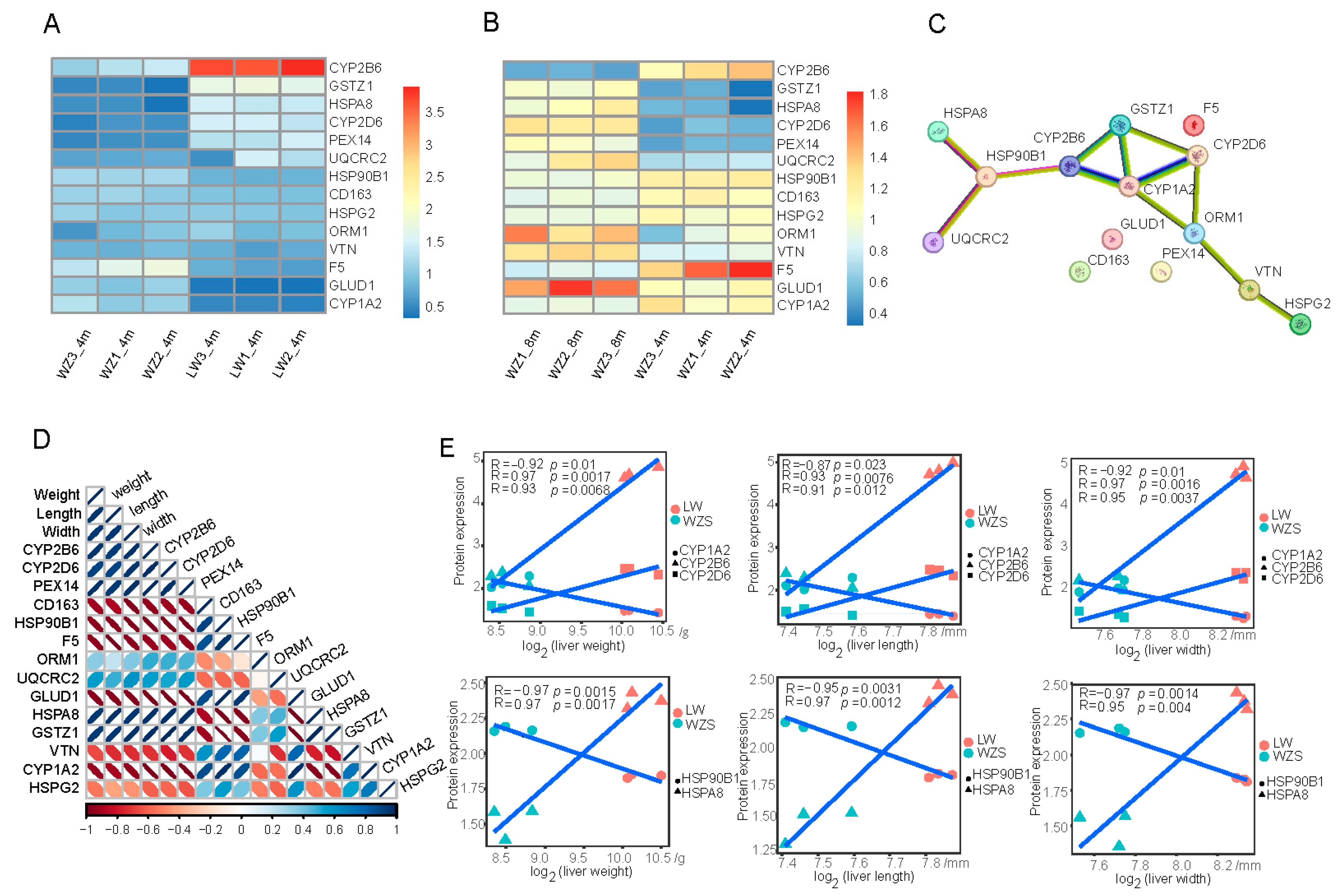 Molecules 29 05222 g004