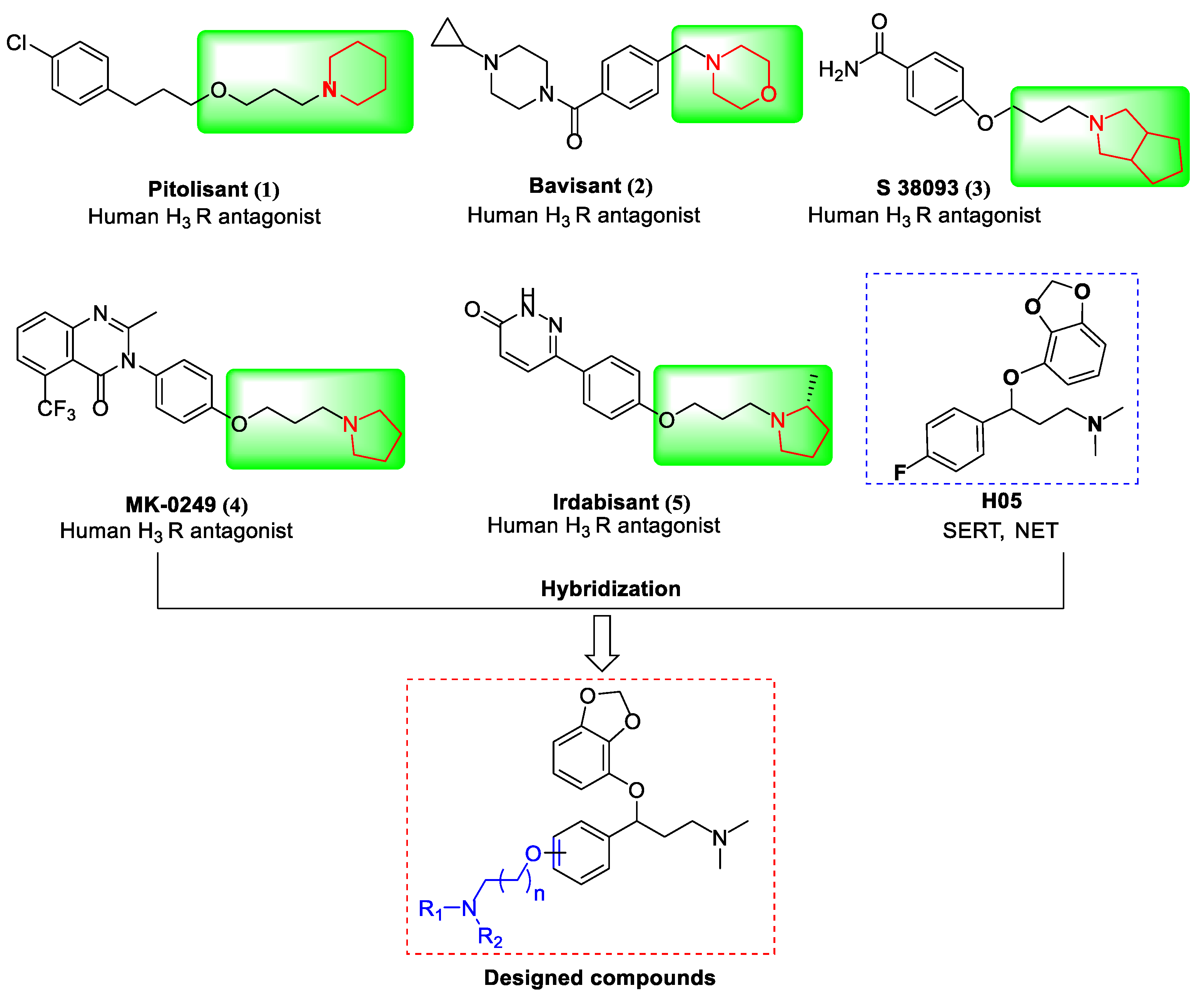 Molecules 29 05240 g001 Molecules 29 05240 g001