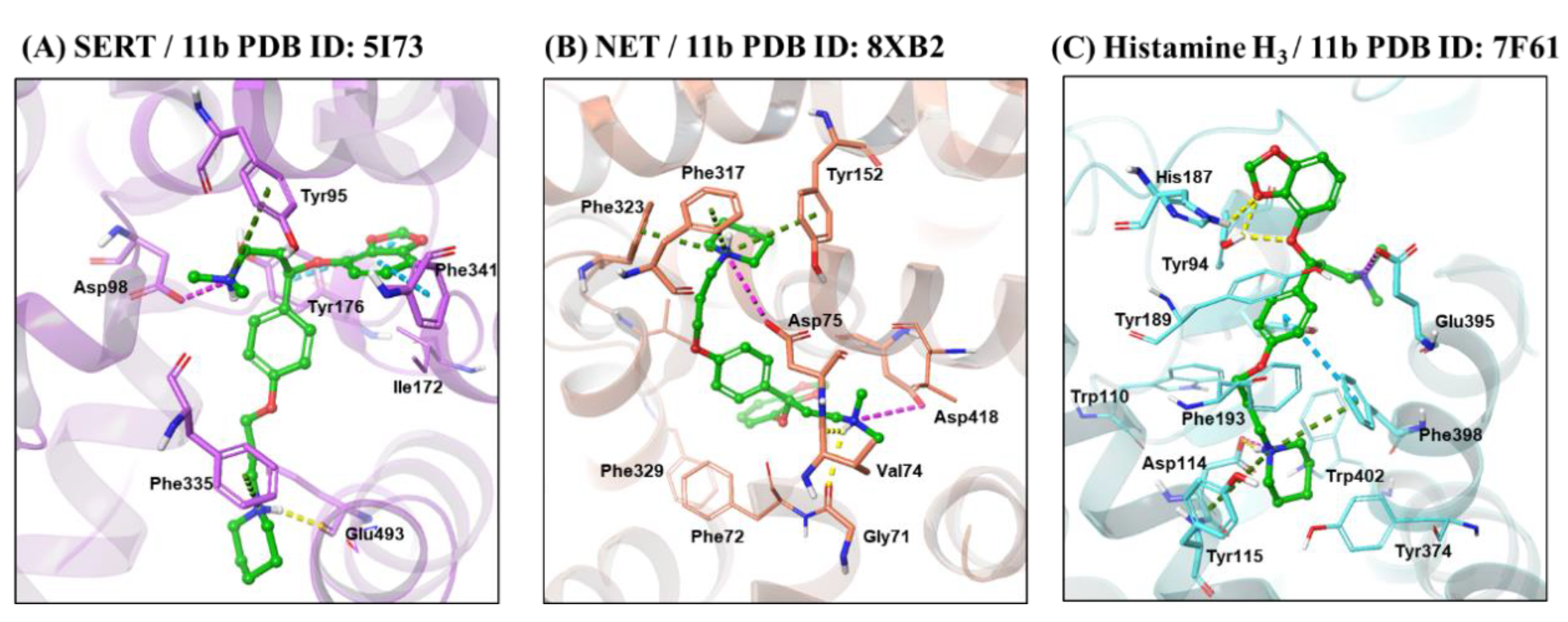 Molecules 29 05240 g002 Molecules 29 05240 g002