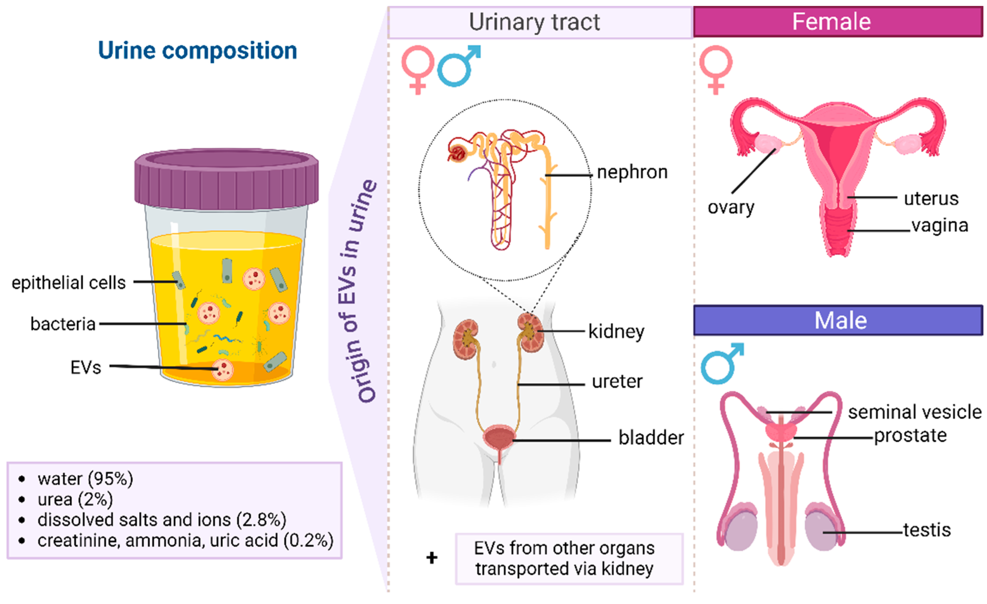 Molecules 29 05241 g001 Molecules 29 05241 g001
