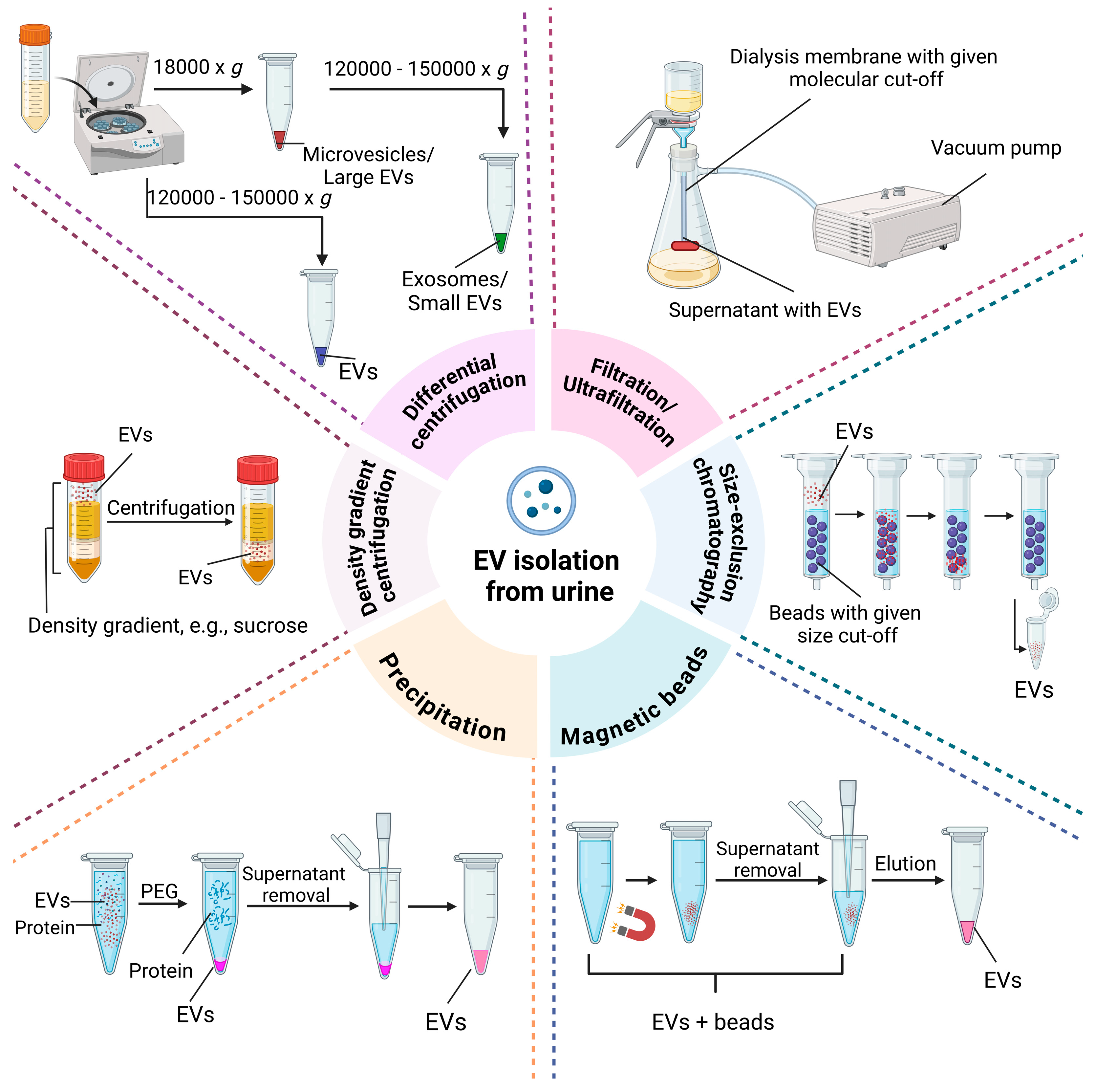 Molecules 29 05241 g003 Molecules 29 05241 g003