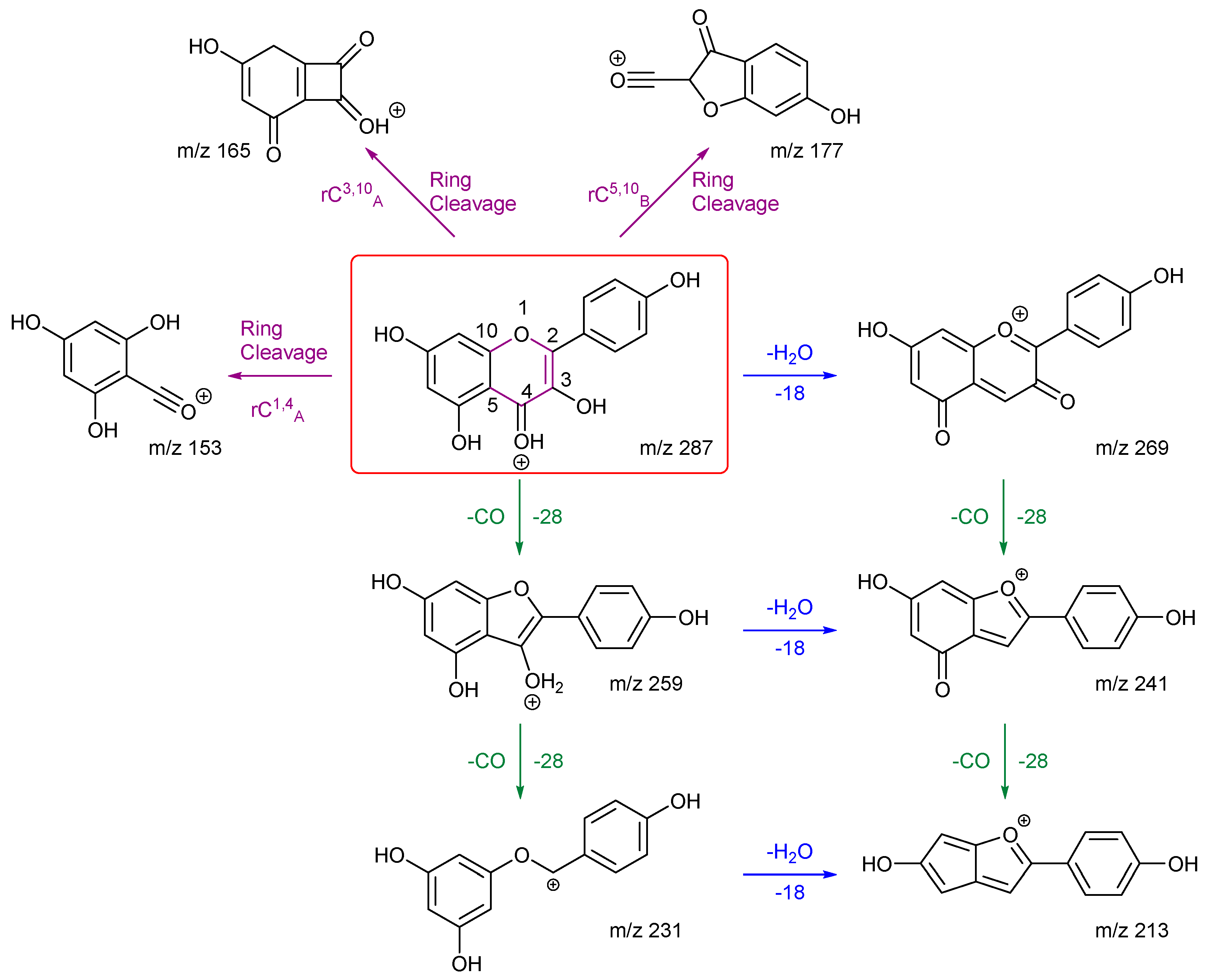 Molecules 29 05246 sch003